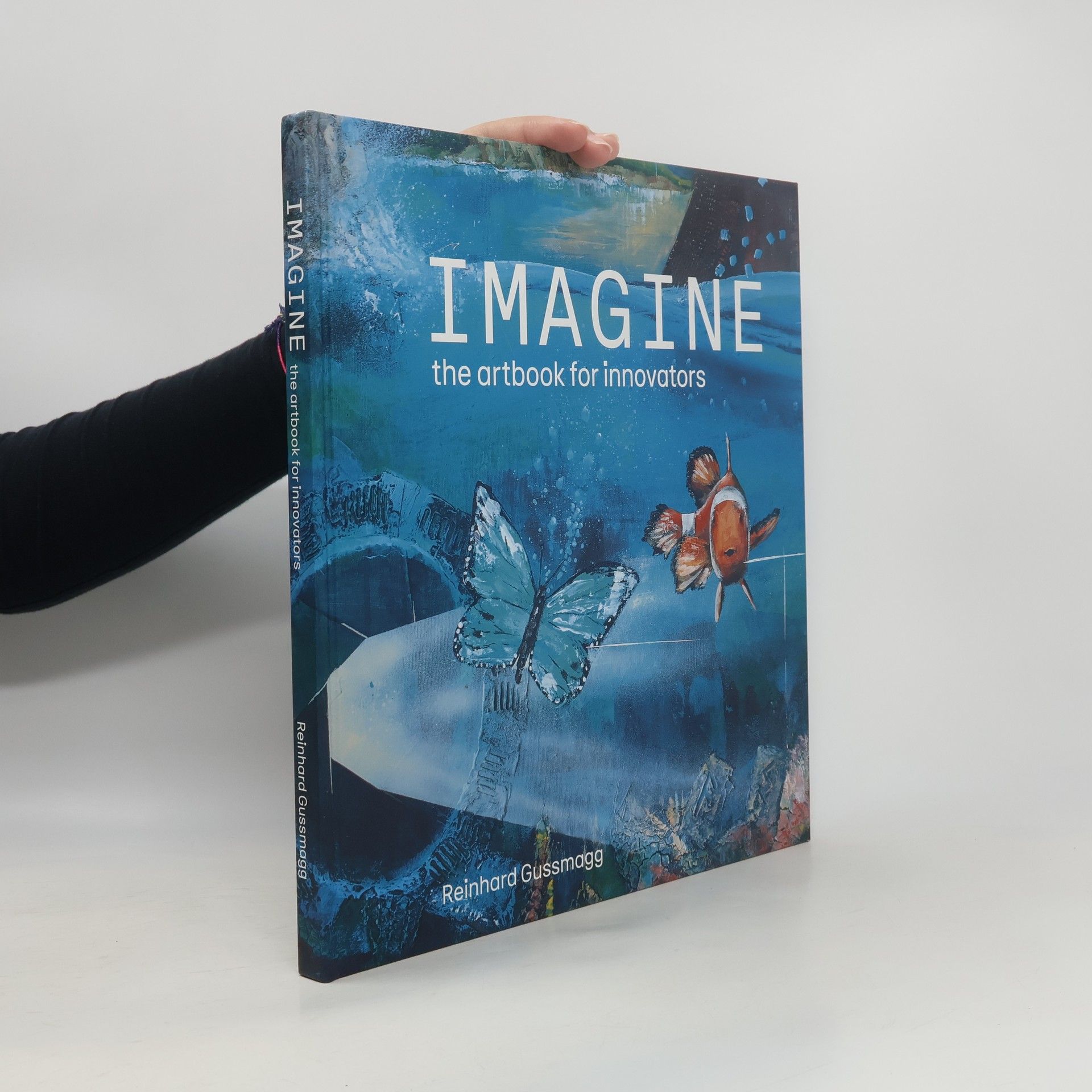 Reinhard Gussmagg Imagine