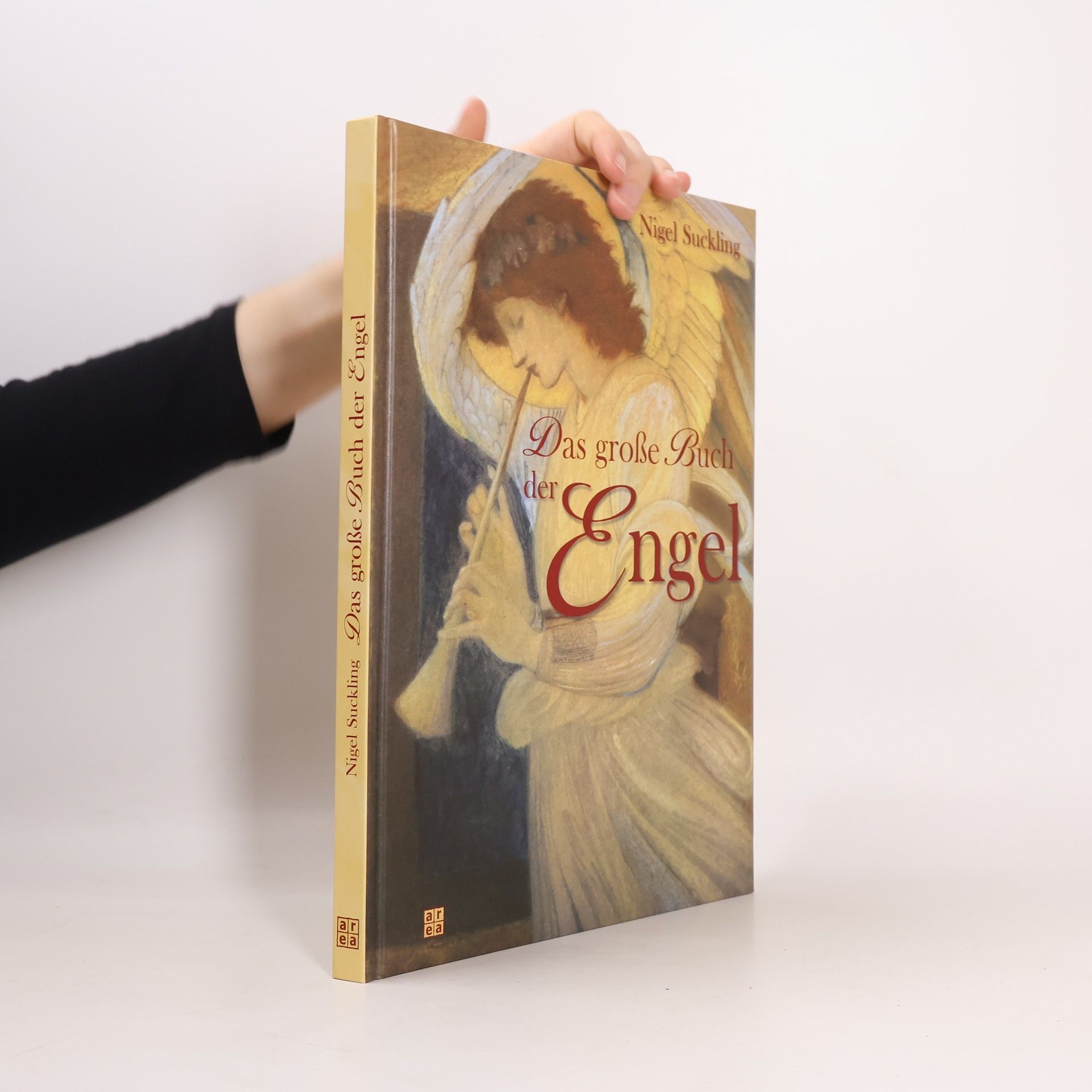 Nigel Suckling Das große Buch der Engel