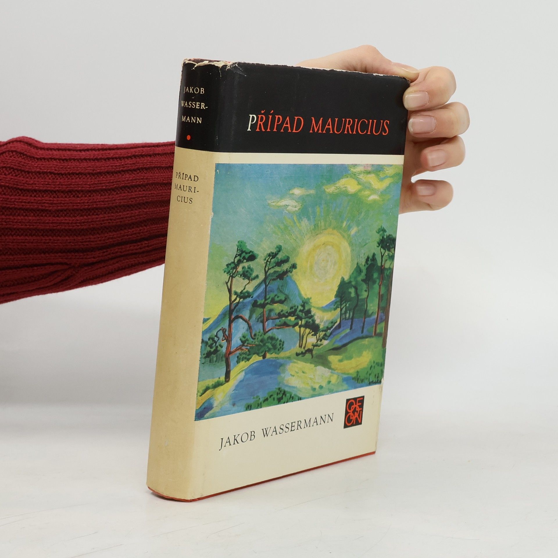 Jakob Wassermann Případ Mauricius