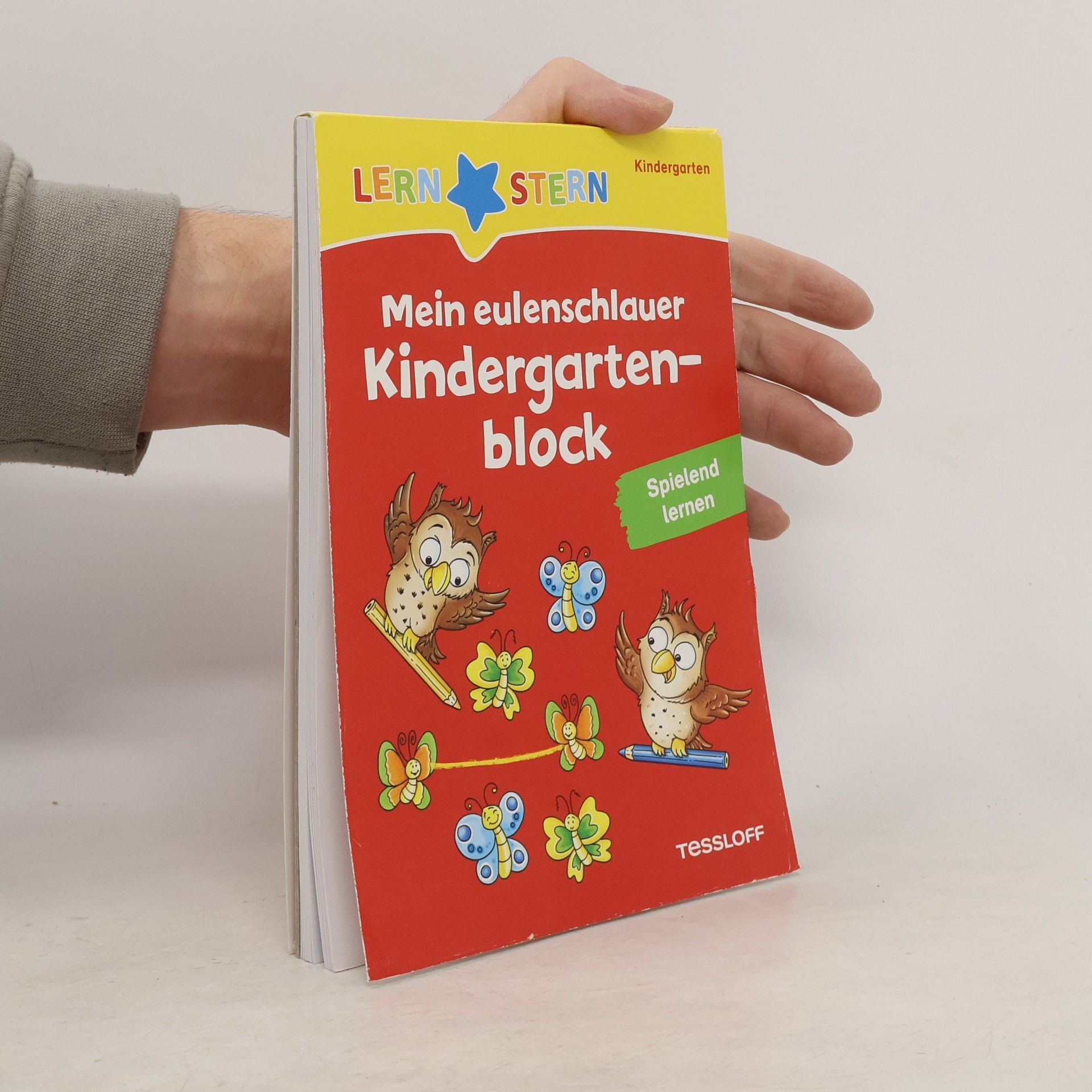 Julia Meyer LERNSTERN: Mein eulenschlauer Kindergartenblock