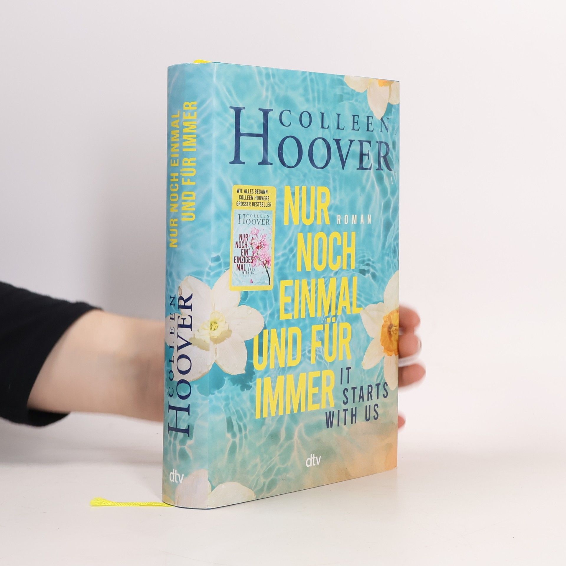 Colleen Hoover Nur noch einmal und für immer