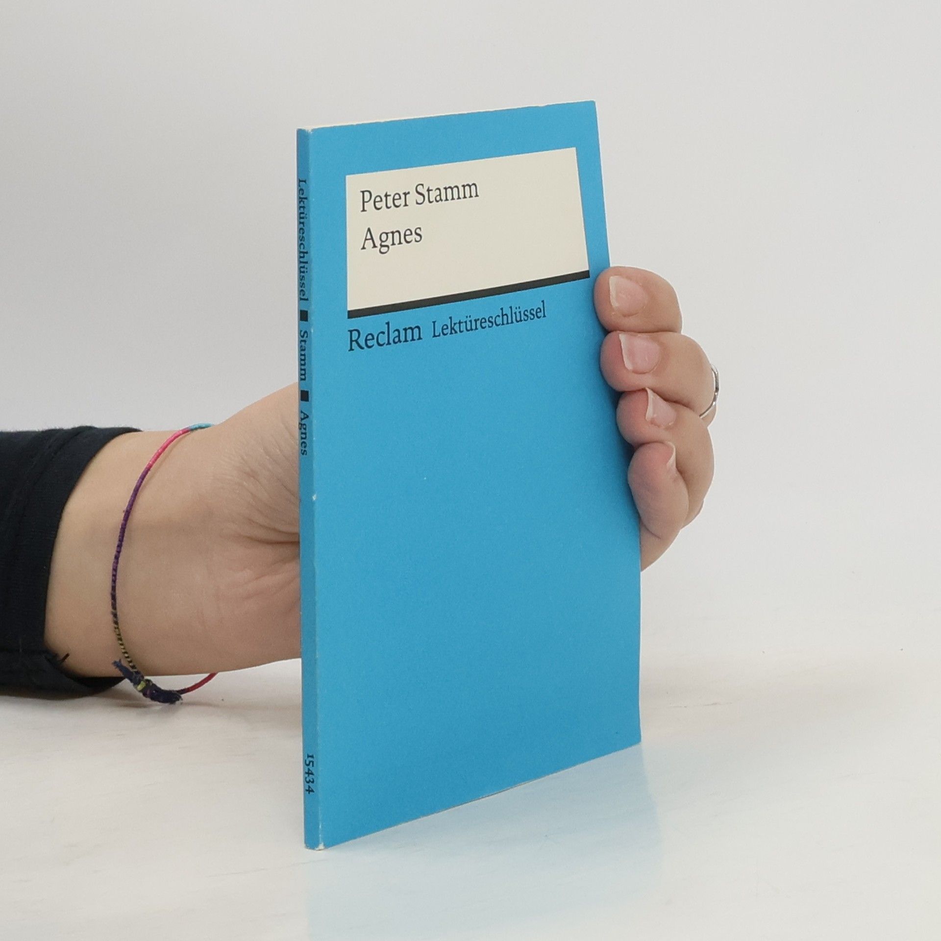 Peter Stamm, Agnes