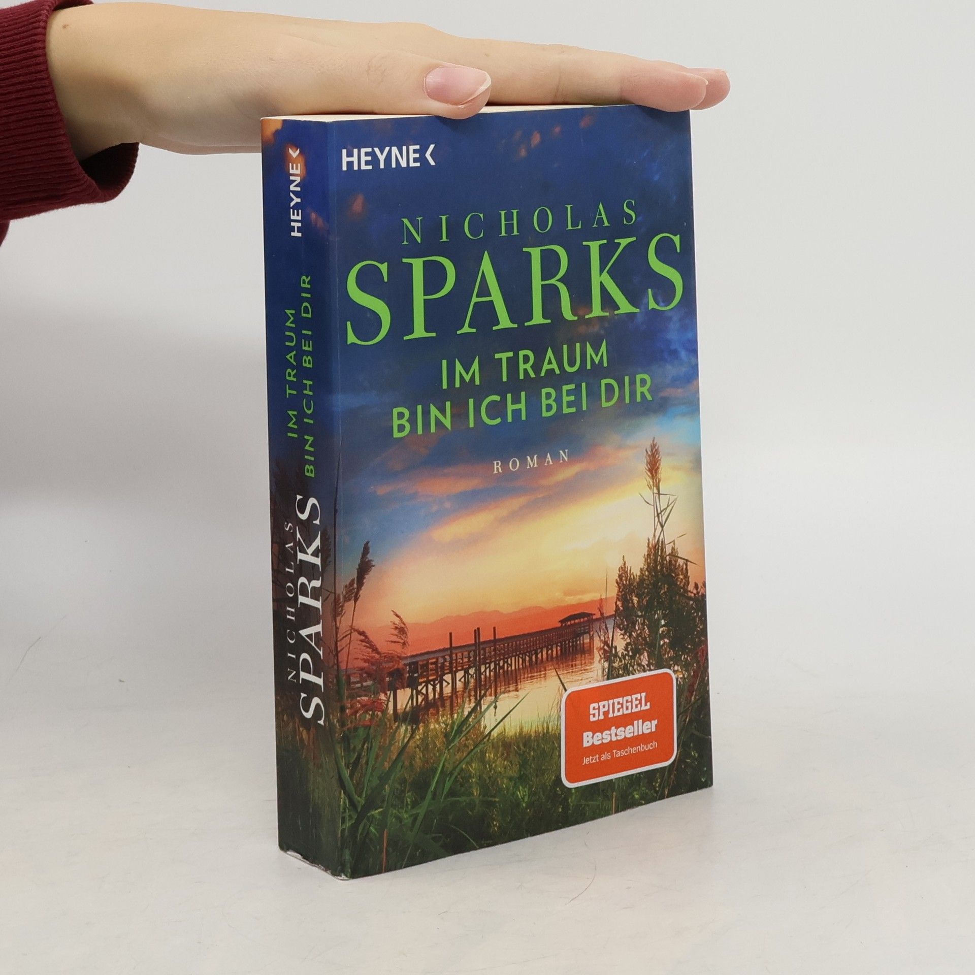 Nicholas Sparks Im Traum bin ich bei dir