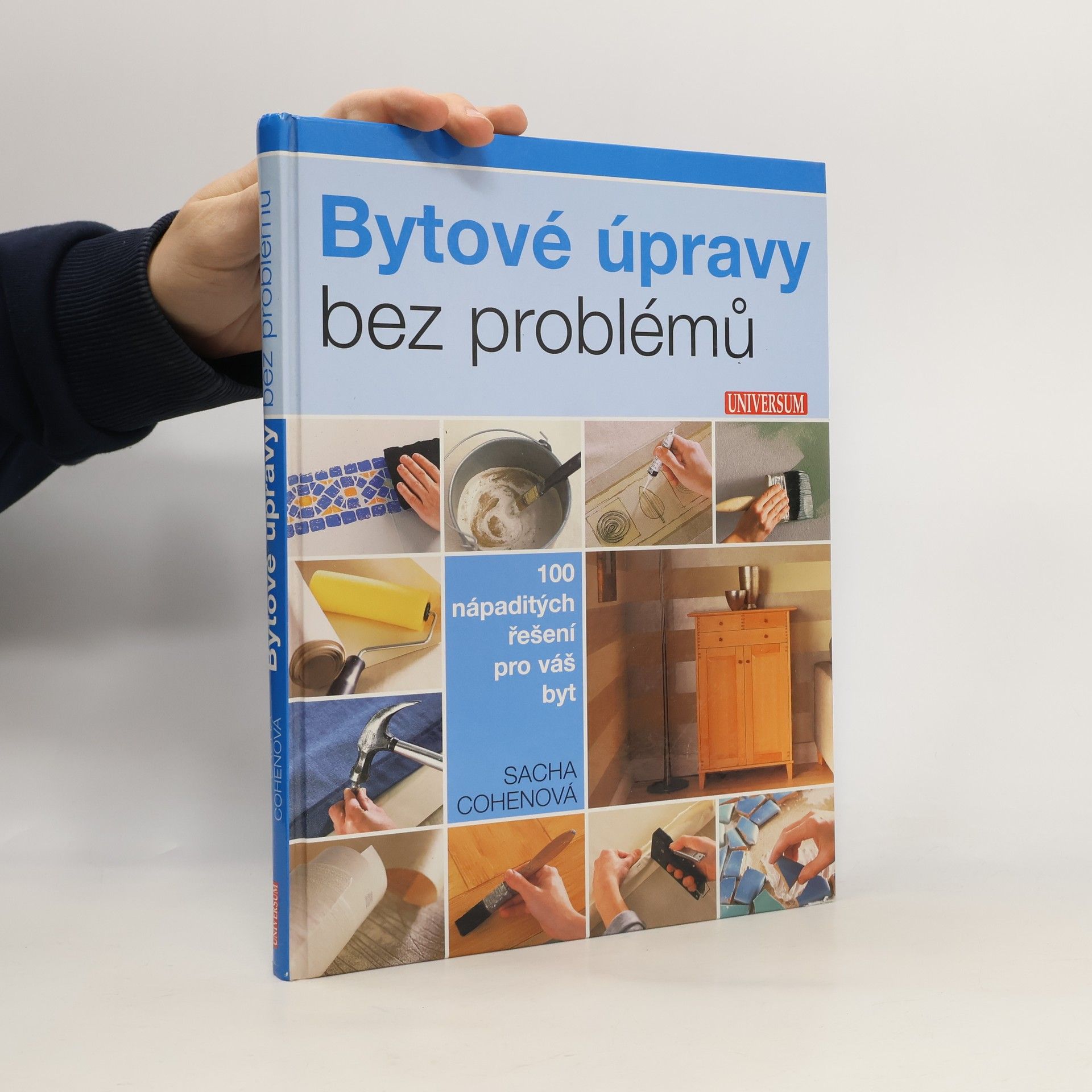 Sacha Cohen Bytové úpravy bez problémů. 100 nápaditých řešení pro váš byt