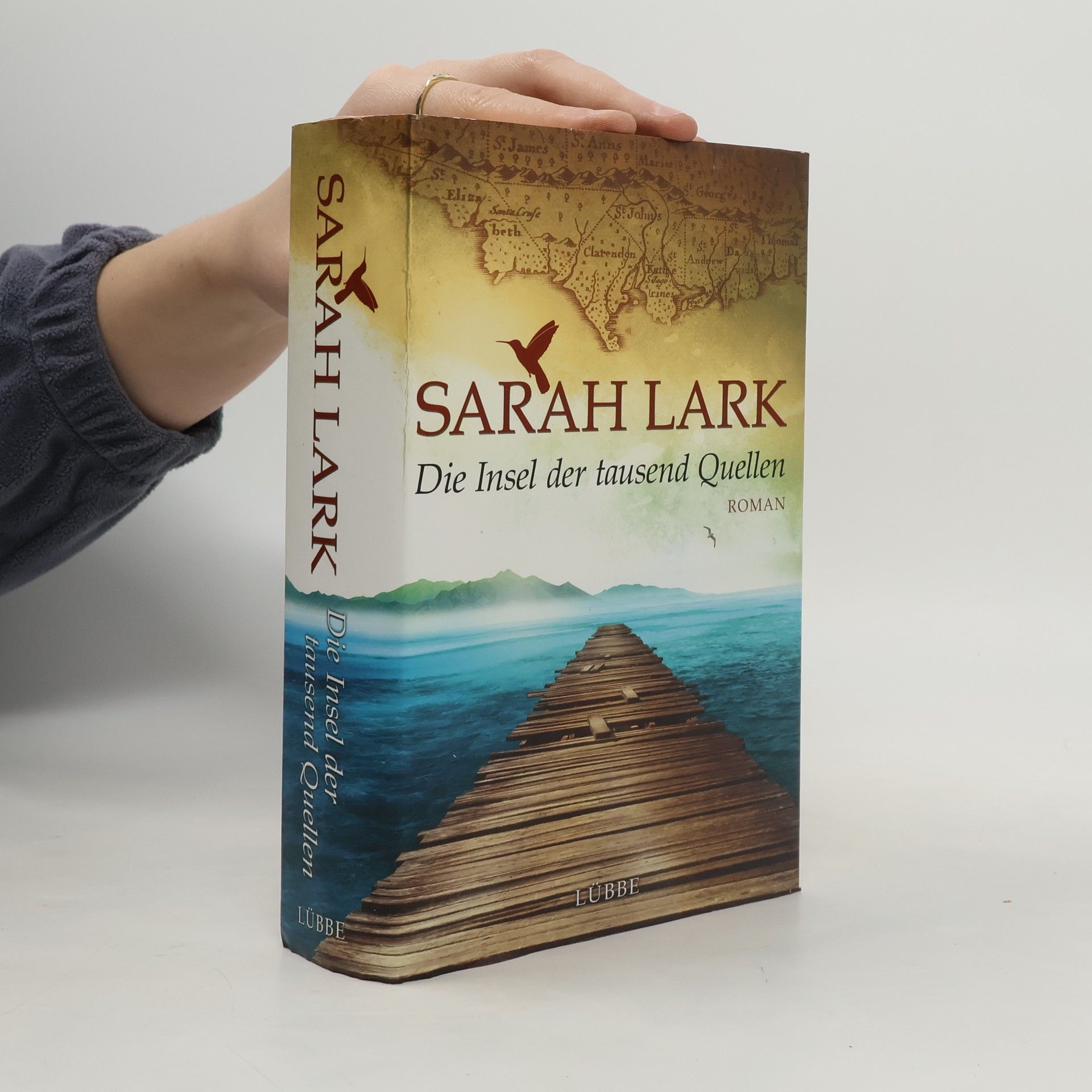 Christiane Gohl Die Insel der tausend Quellen