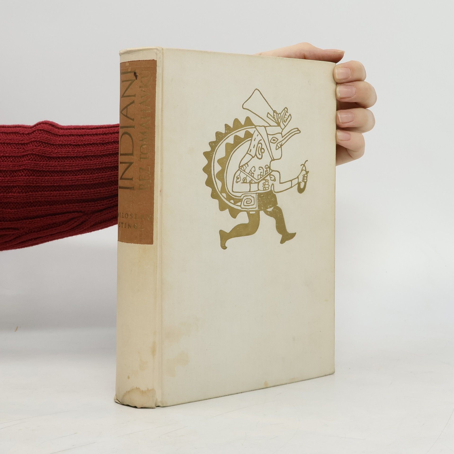Miloslav Stingl Indiáni bez tomahavků