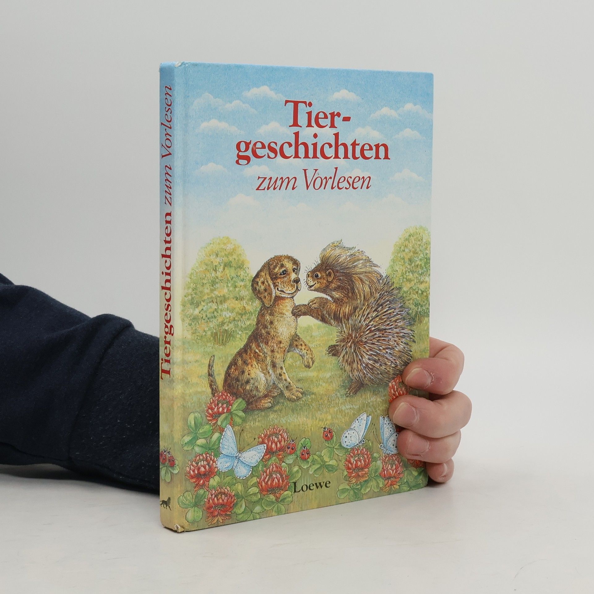 Kolektív autorov Tiergeschichten zum Vorlesen