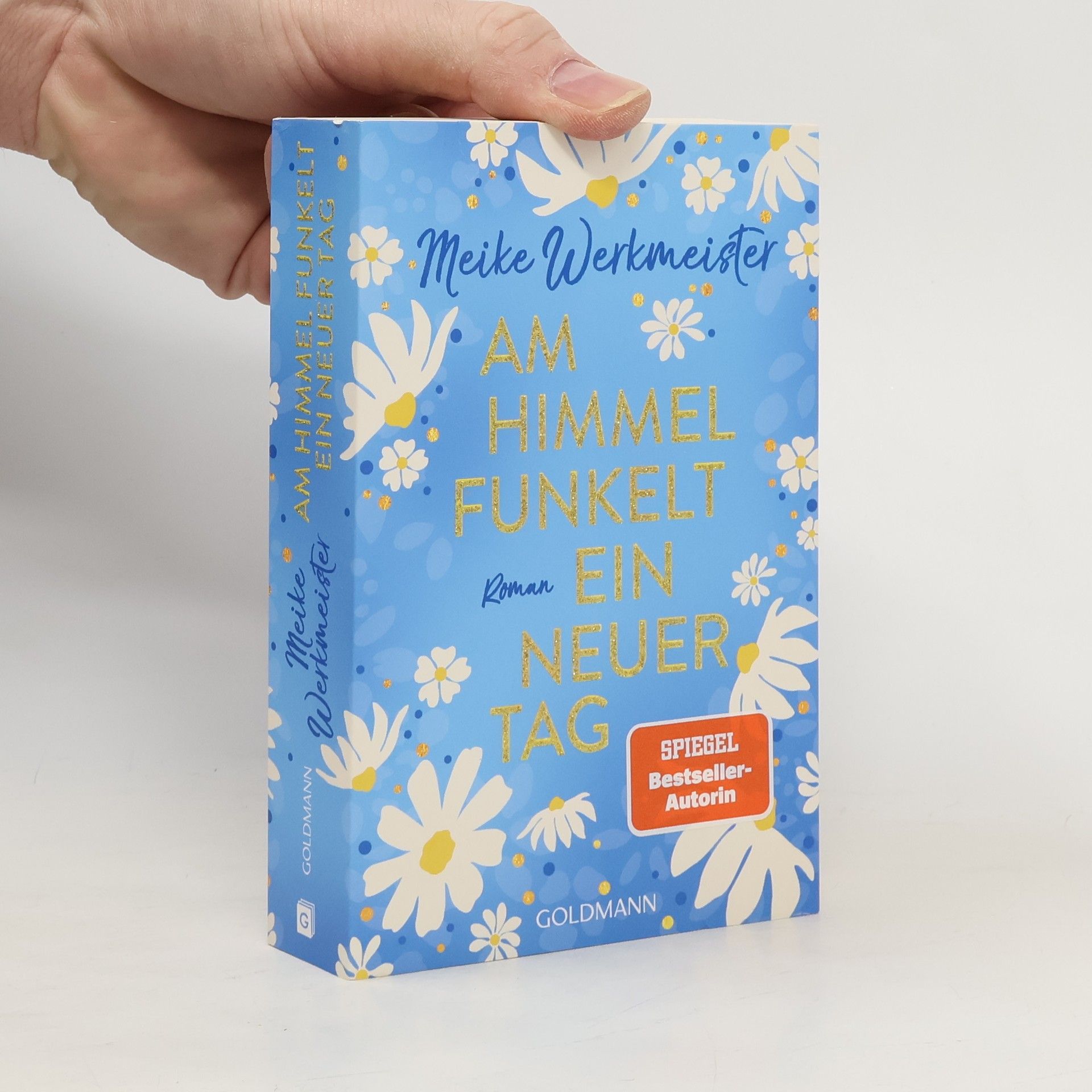 Meike Werkmeister Am Himmel funkelt ein neuer Tag