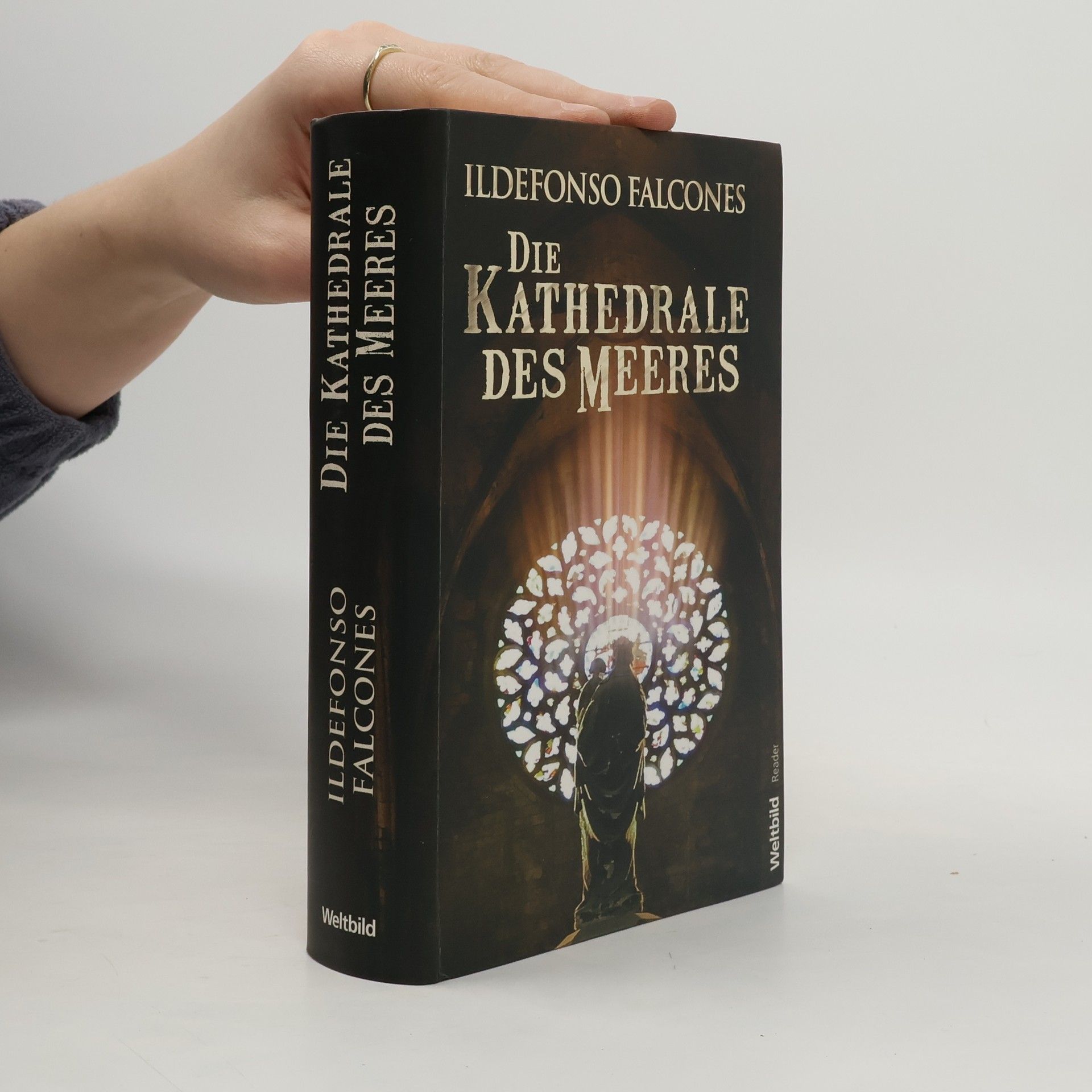 Ildefonso Falcones Die Kathedrale des Meeres