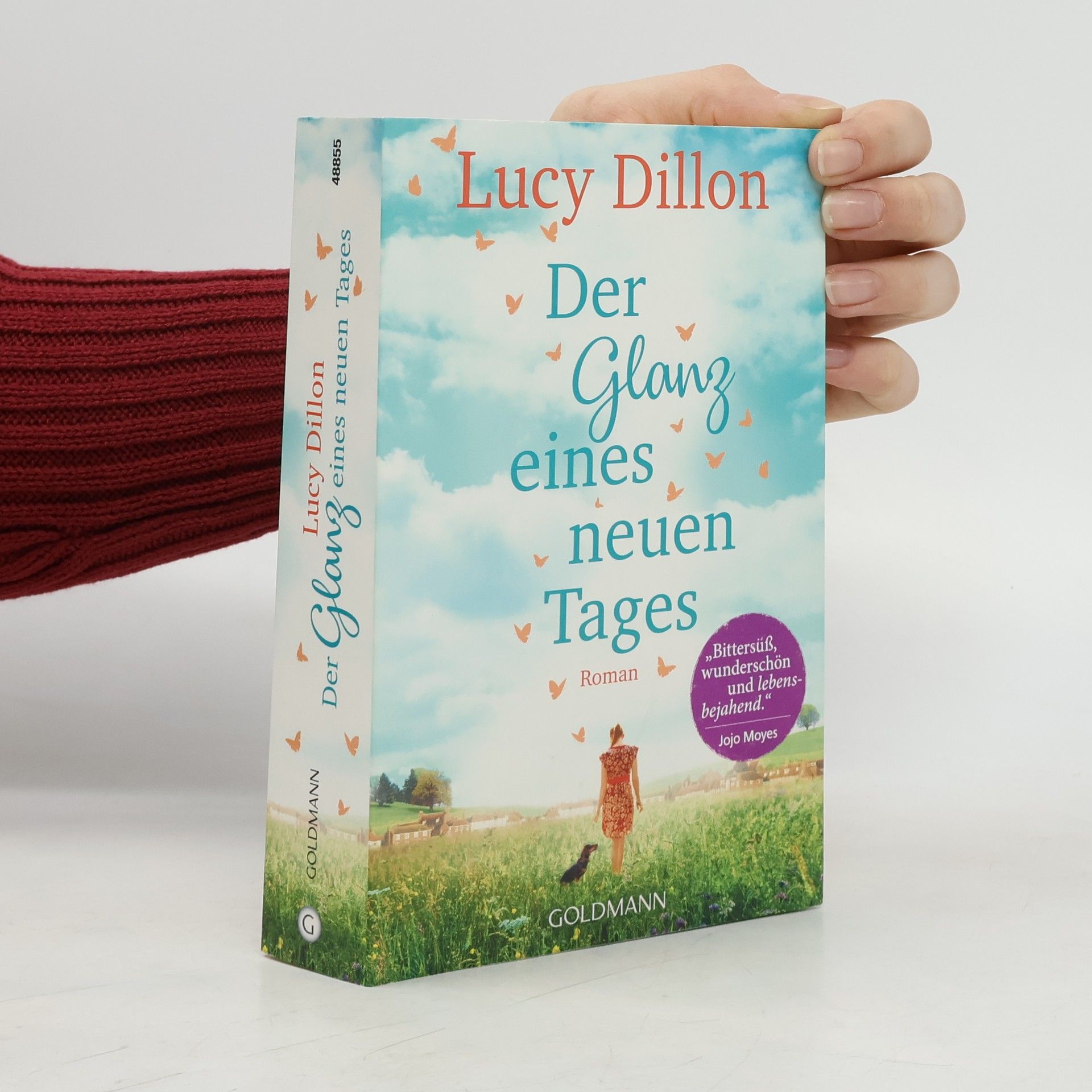 Lucy Dillon Der Glanz eines neuen Tages