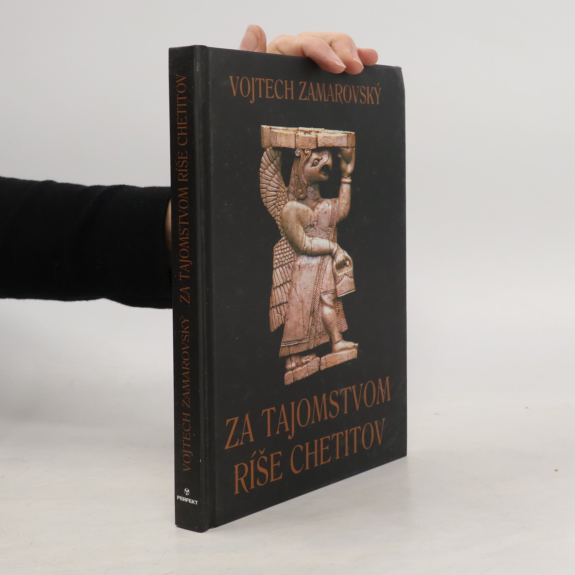 Za tajomstvom ríše Chetitov