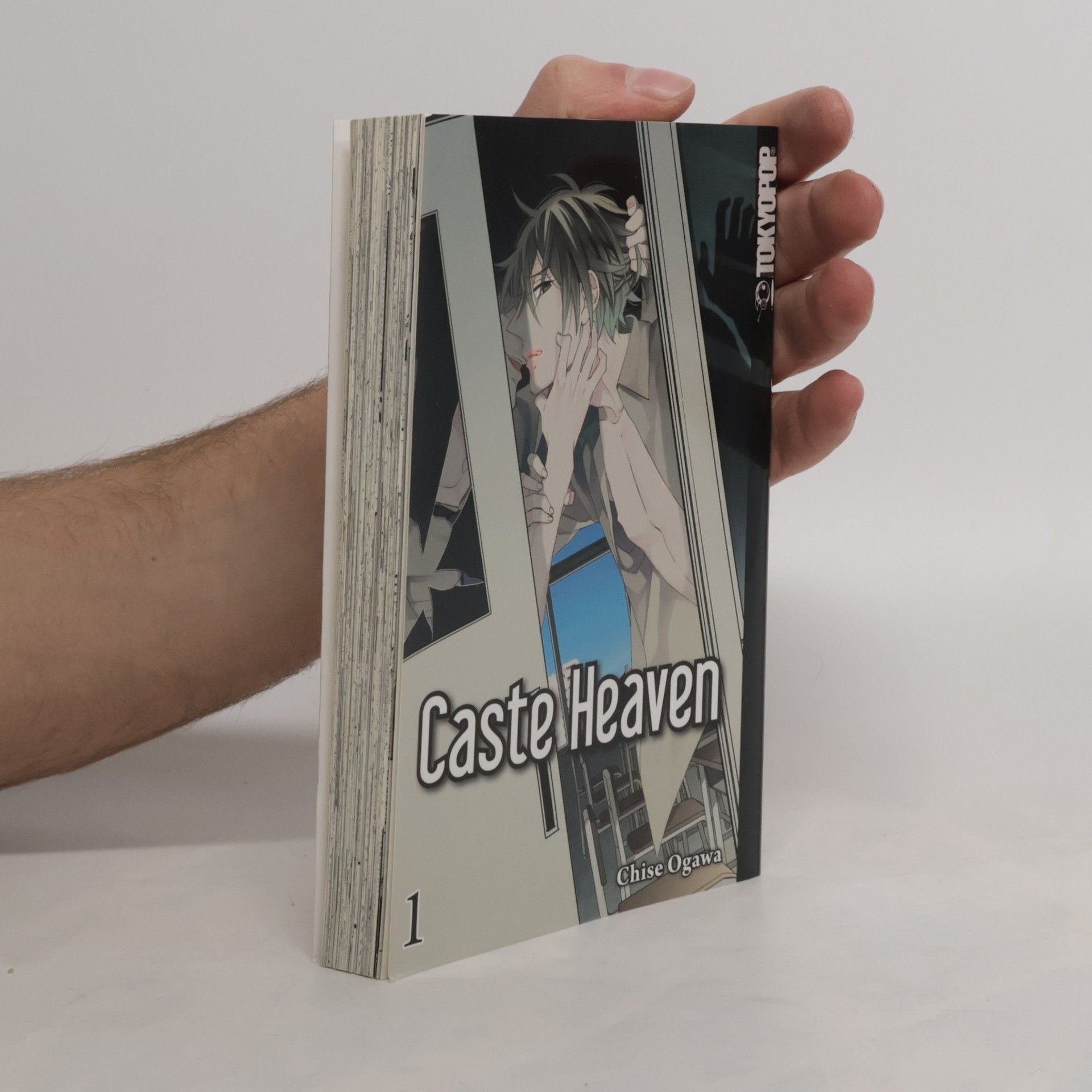 Chise Ogawa Caste heaven 1