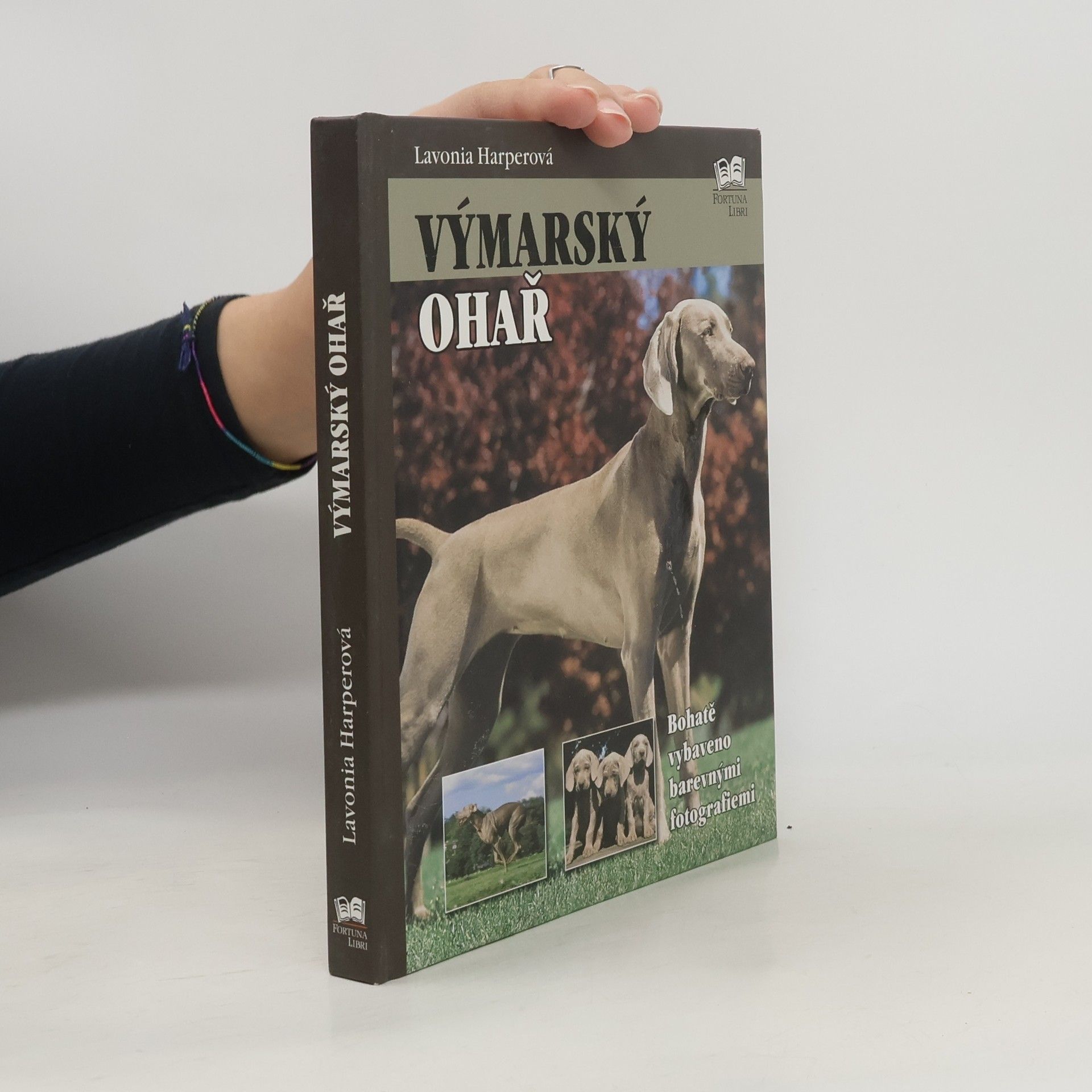 Lavonia Harper Výmarský ohař