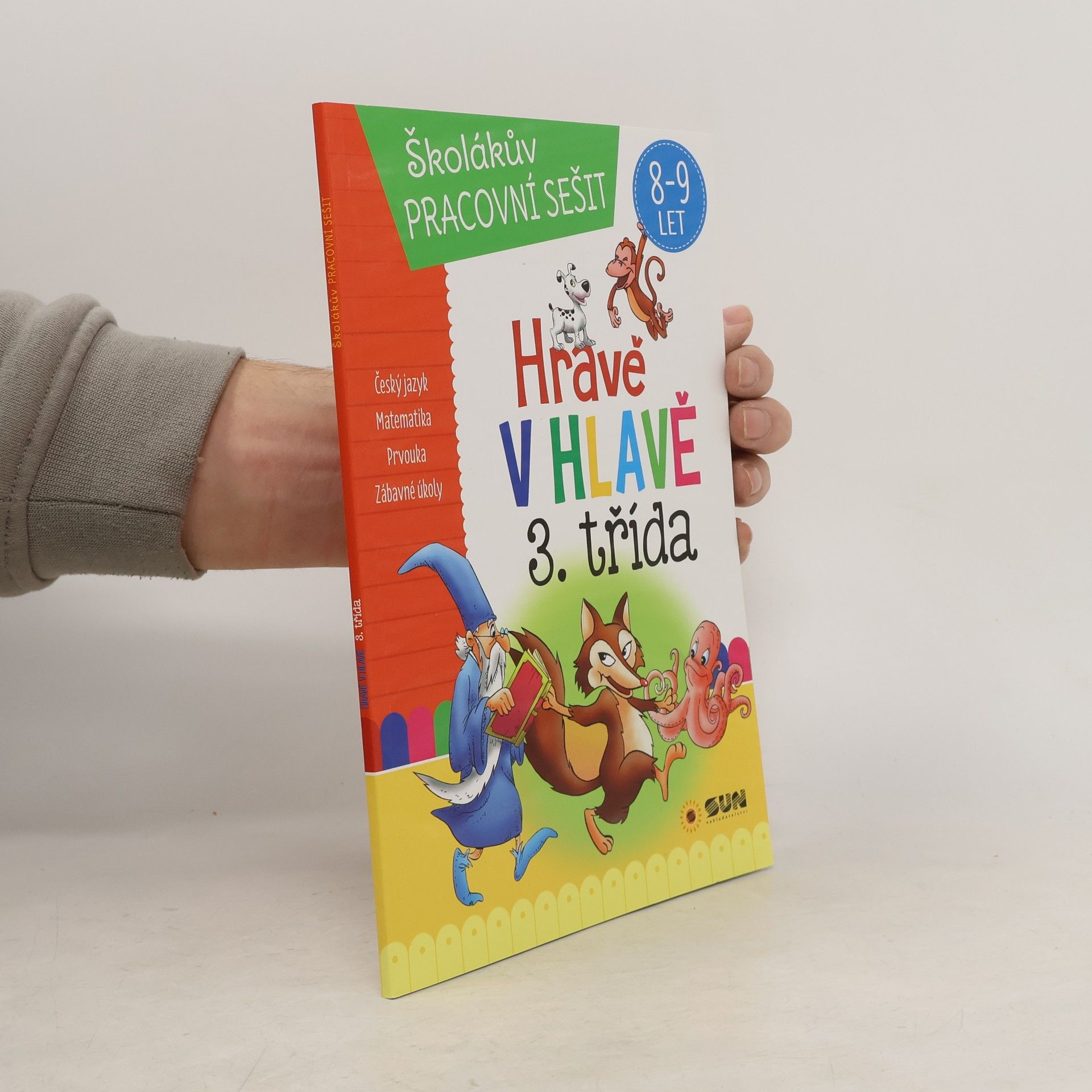 Kolektív autorov Hravě v hlavě - 3. třída - Domácí pracovní sešit