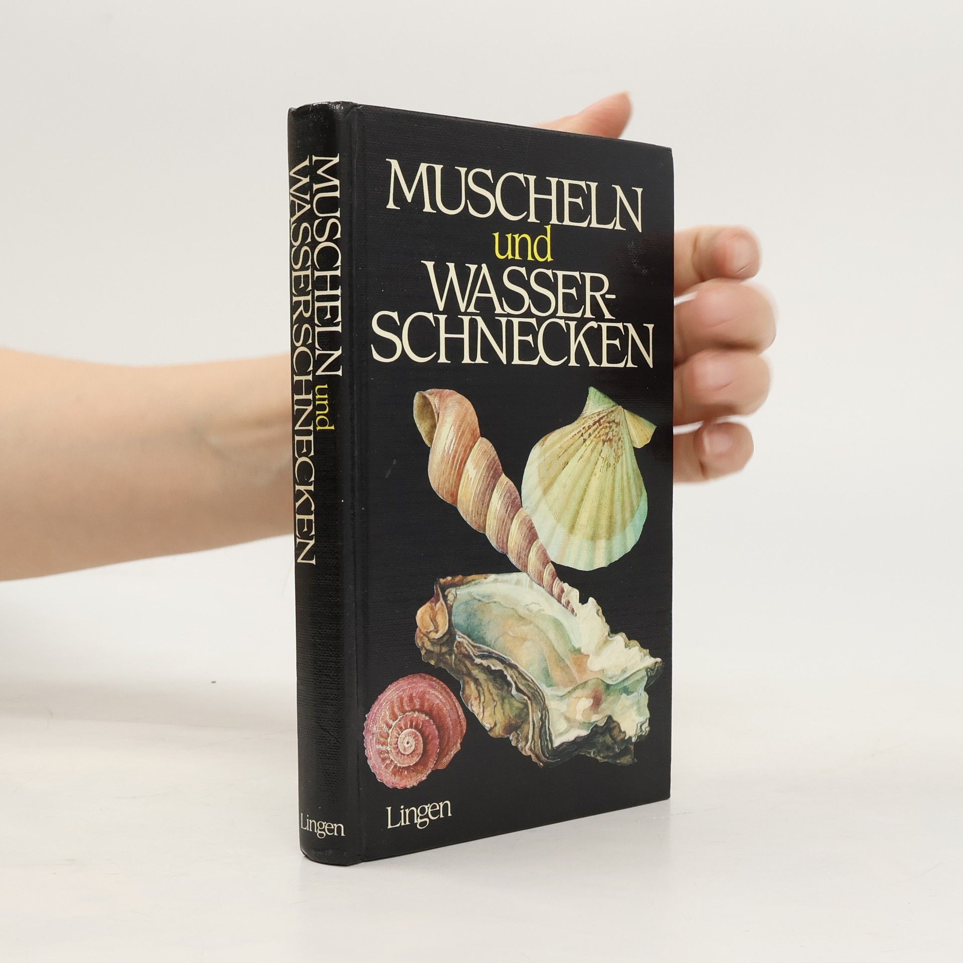 Muscheln und Wasserschnecken