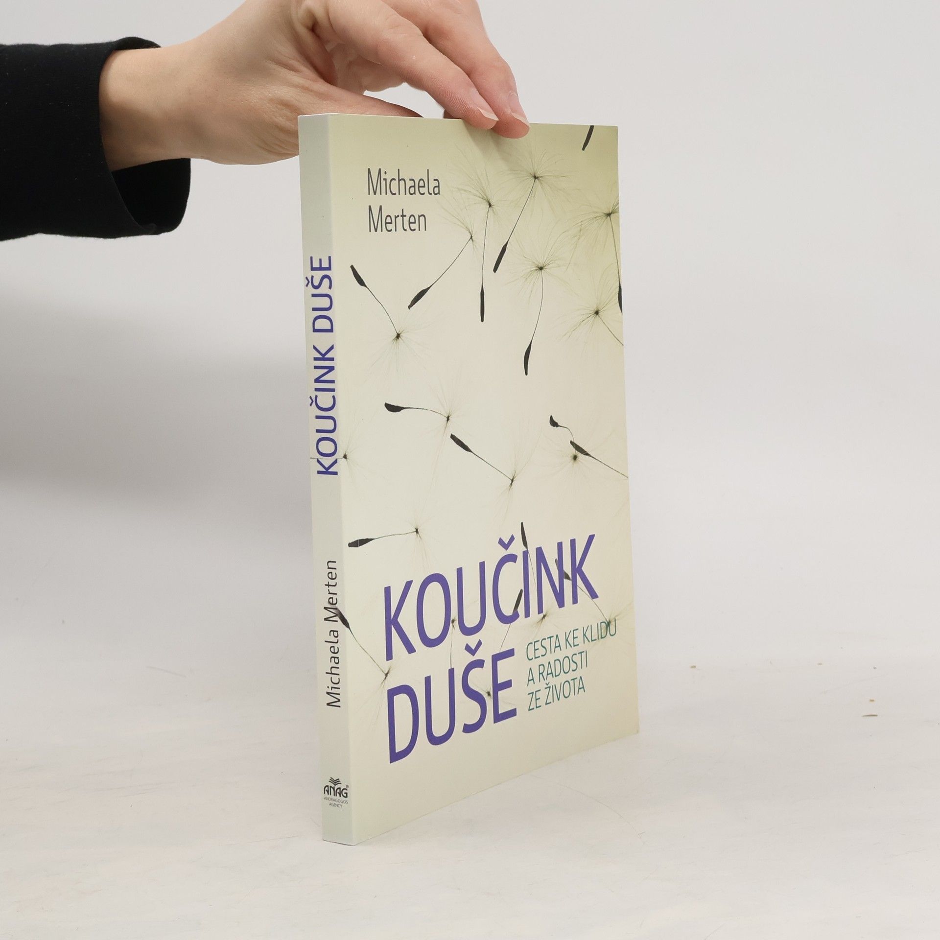 Koučink duše : cesta ke klidu a radosti ze života