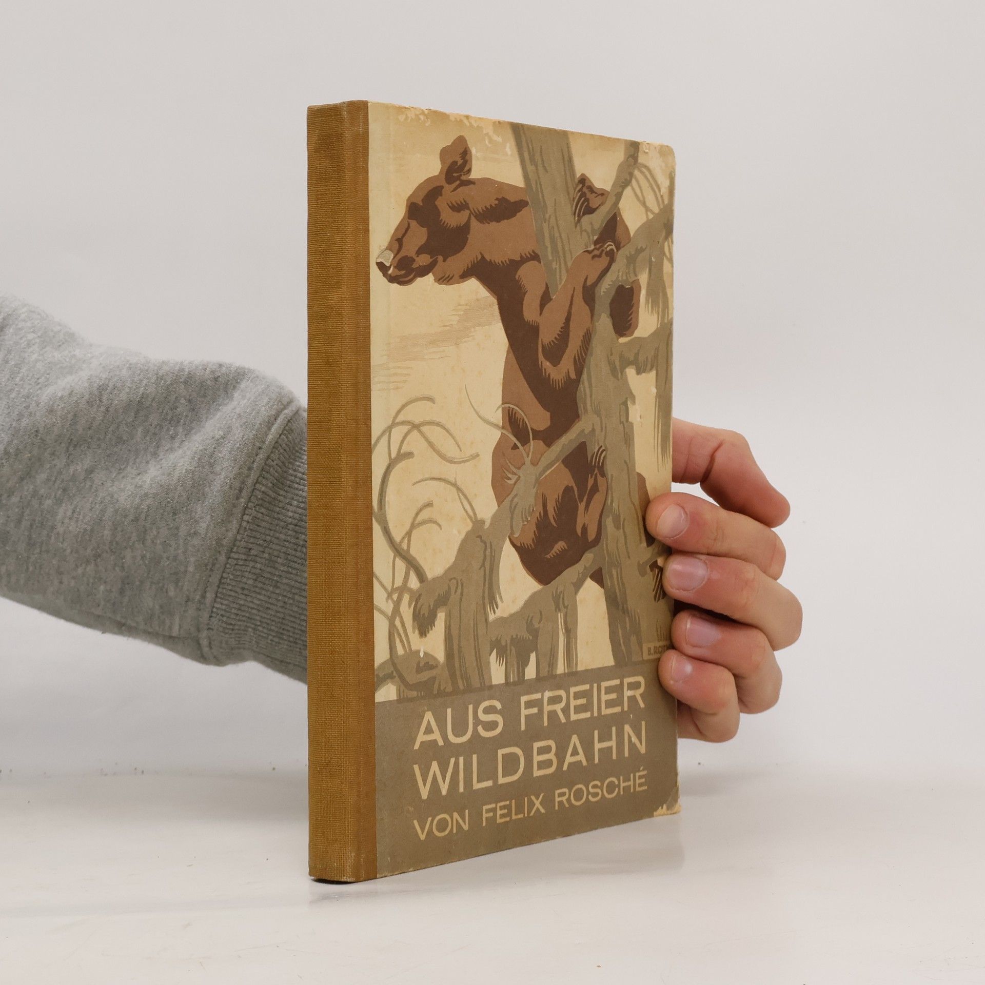 Felix Rosché Aus Freier Wildbahn