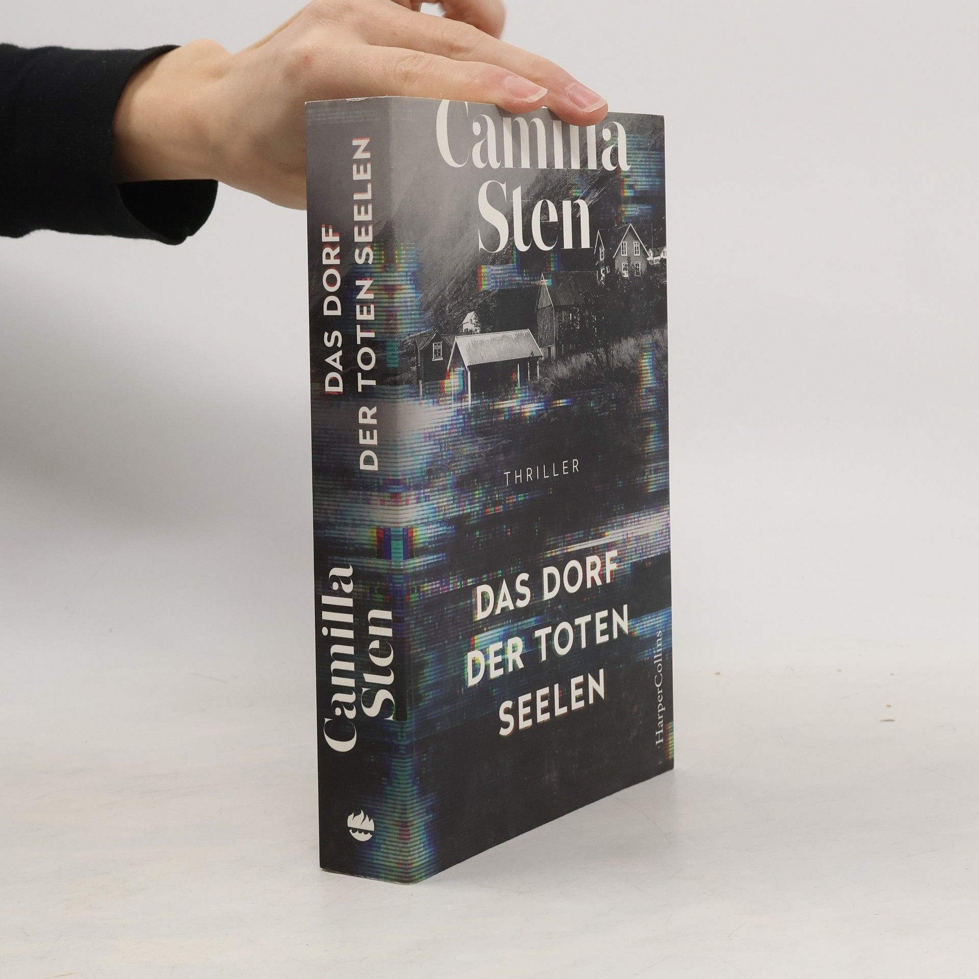 Camilla Sten Das Dorf der toten Seelen