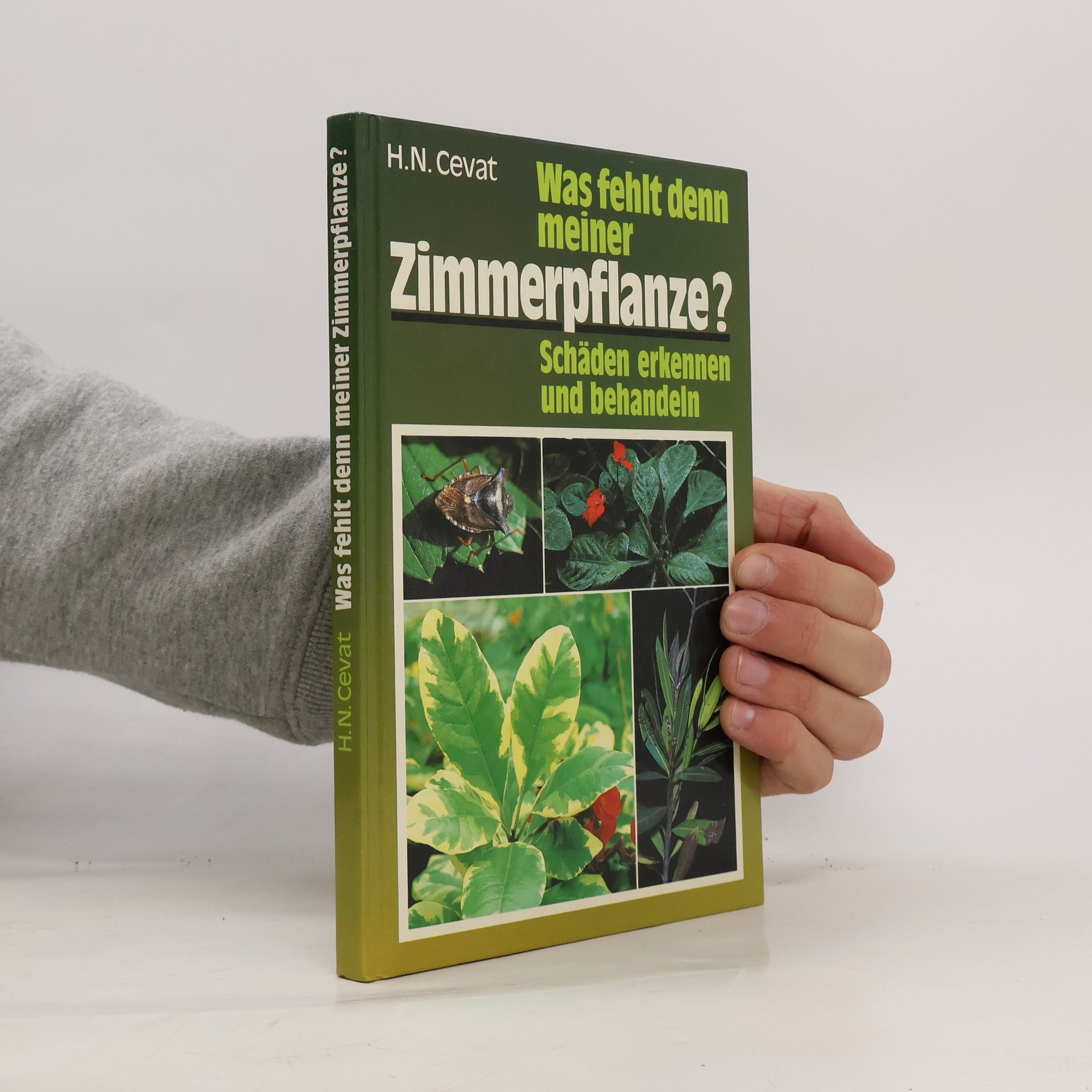 Hendrik Nicolaas Cevat Was fehlt denn meiner Zimmerpflanze?