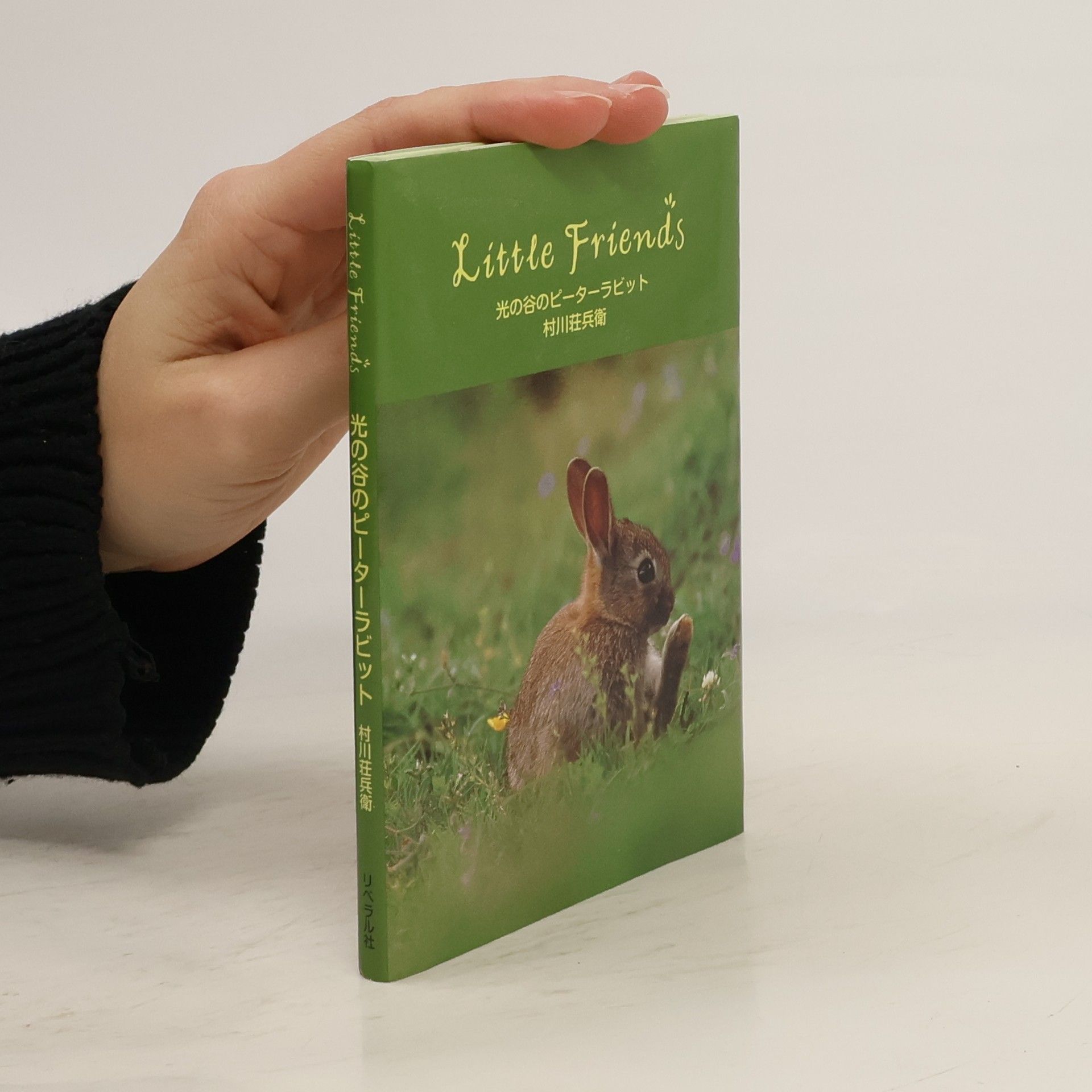 村川荘兵衛 光の谷のピーターラビット
