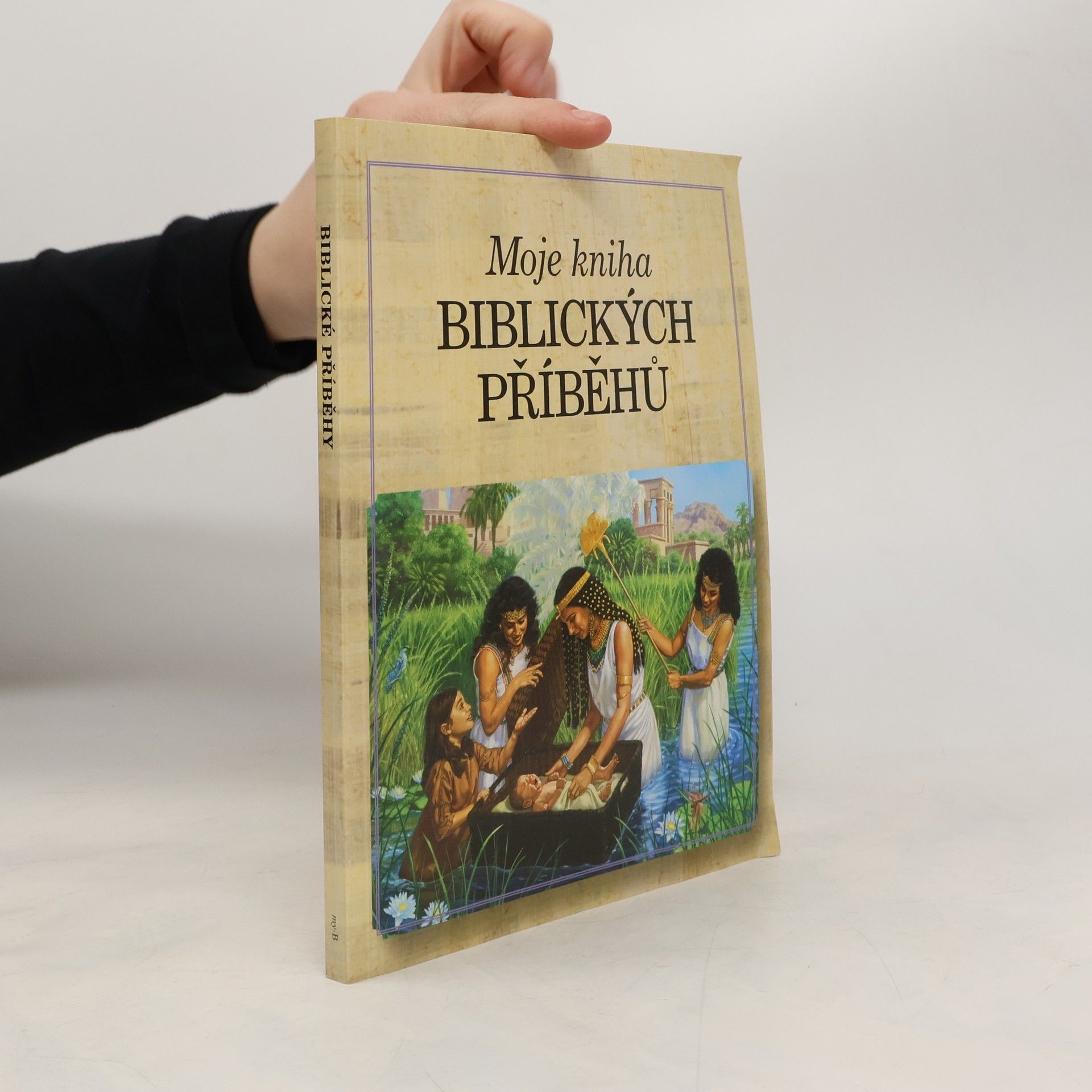 AA.VV. Moje kniha biblických příběhů
