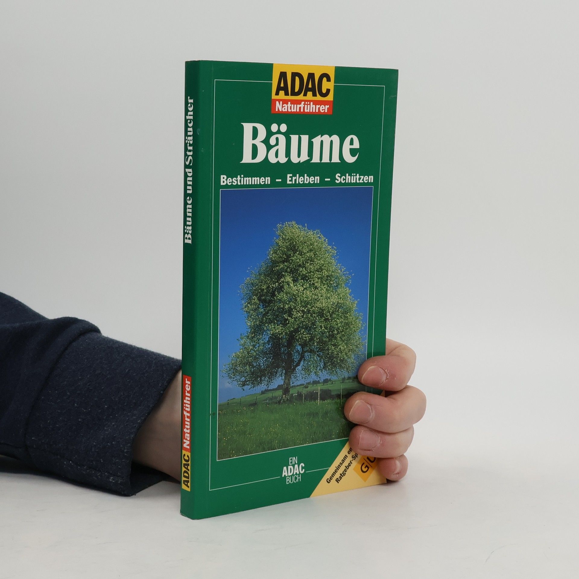 Wolfgang Hensel Bäume und Sträucher