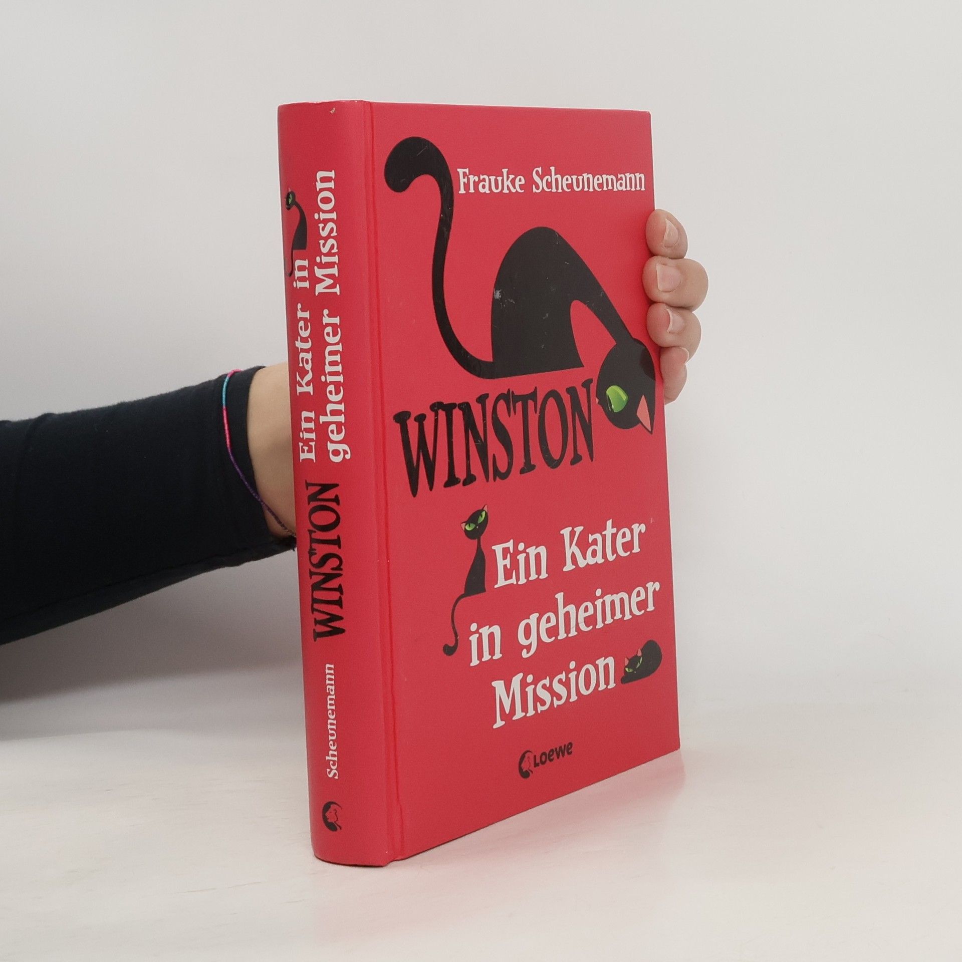 Frauke Scheunemann Winston: ein Kater in geheimer Mission