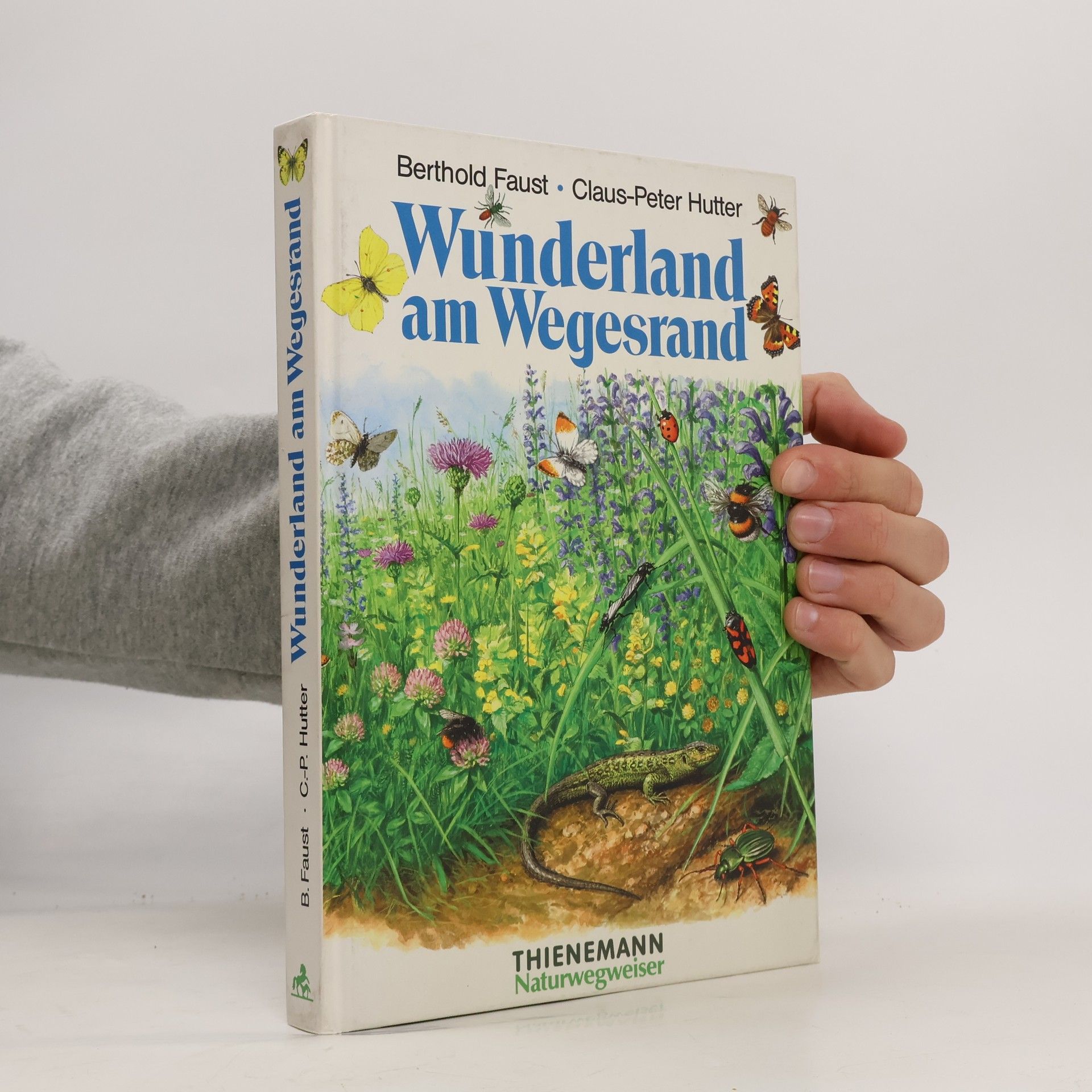 Berthold Faust Wunderland am Wegesrand