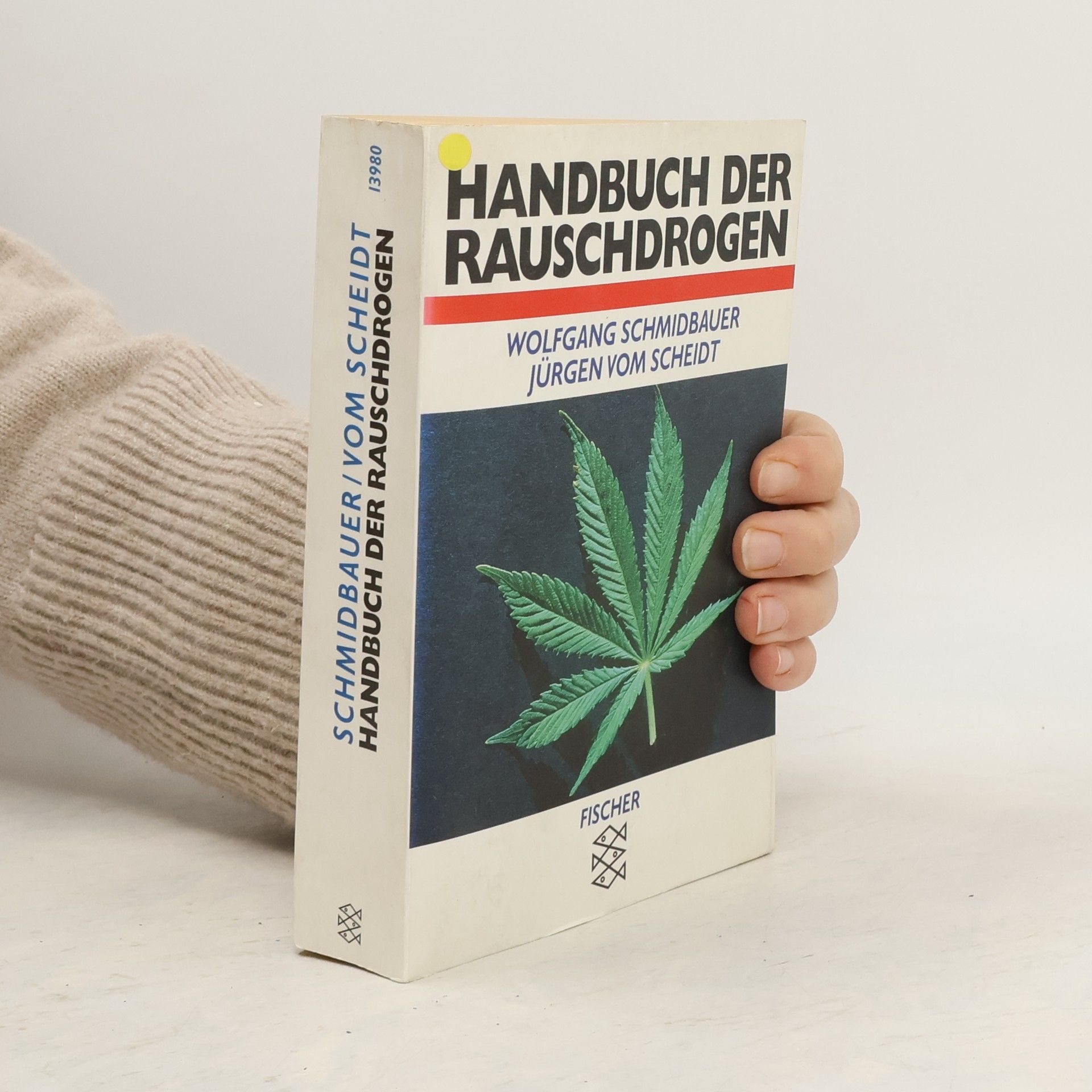 Wolfgang Schmidbauer Handbuch der Rauschdrogen
