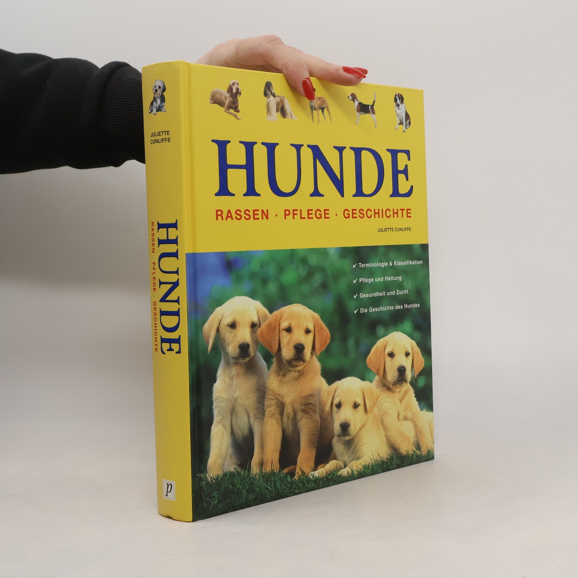 Kolektív autorov Hunde