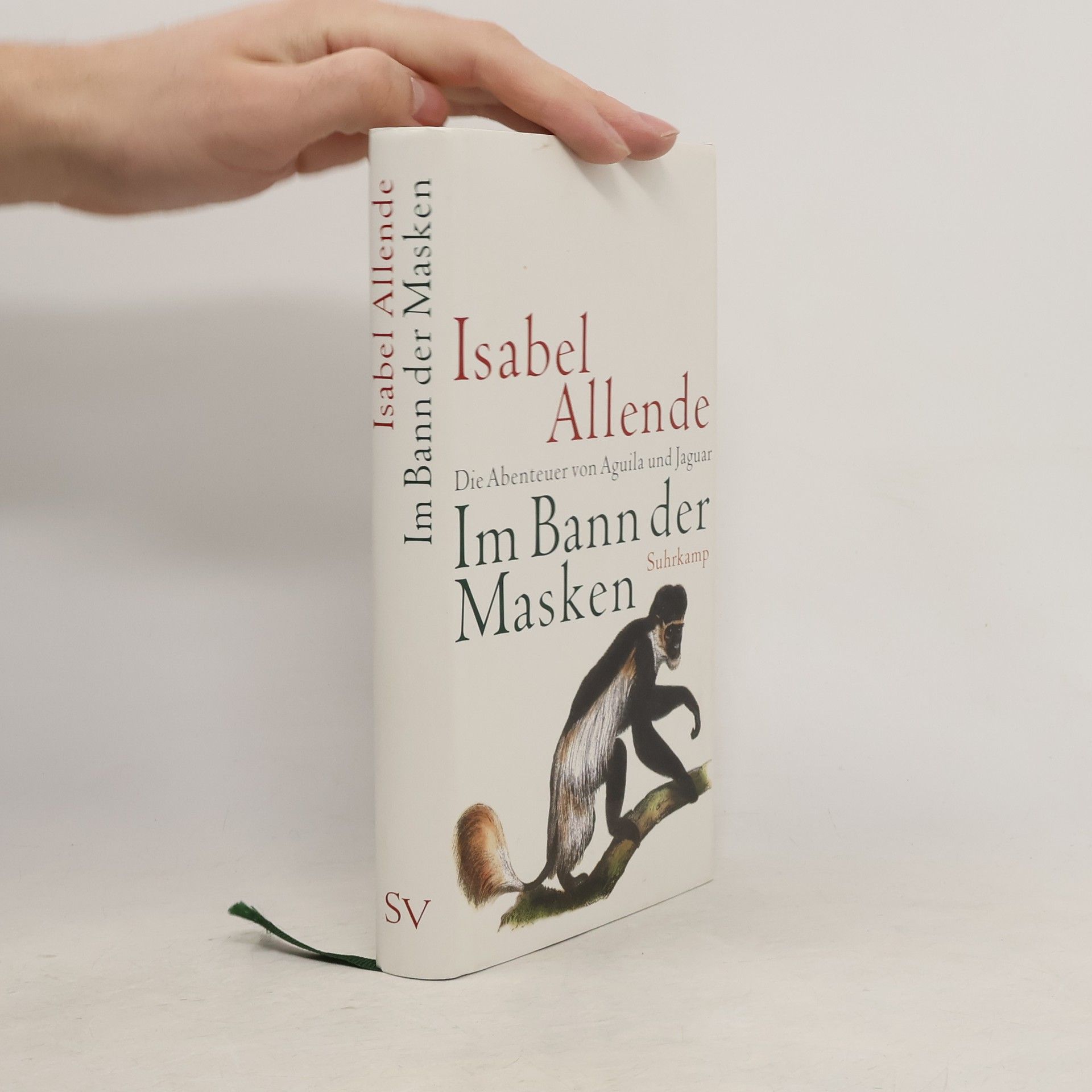 Isabel Allende Im Bann der Masken