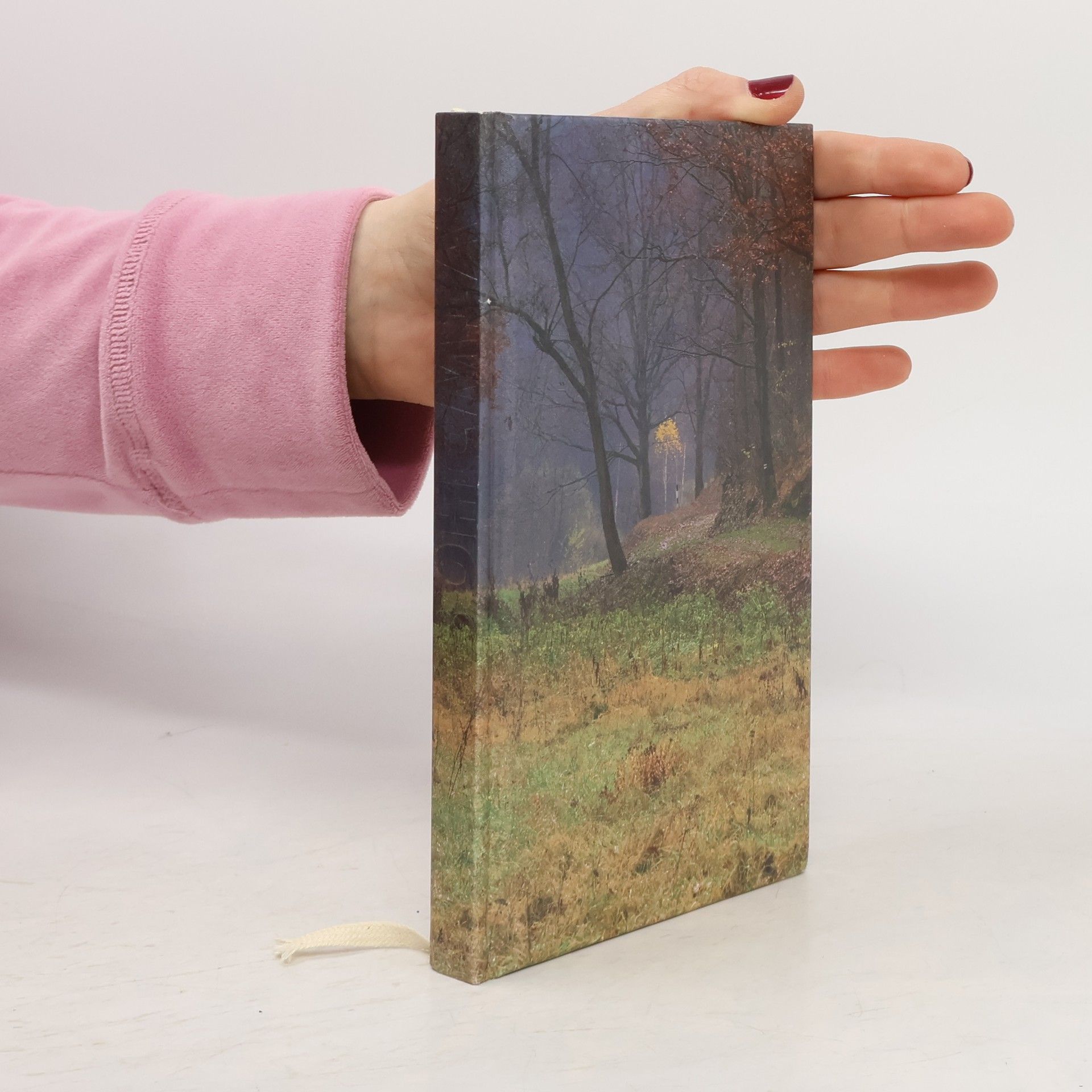 Collectif d'auteurs Zapomenuté klenoty v krajině. Stezky pokory a naděje