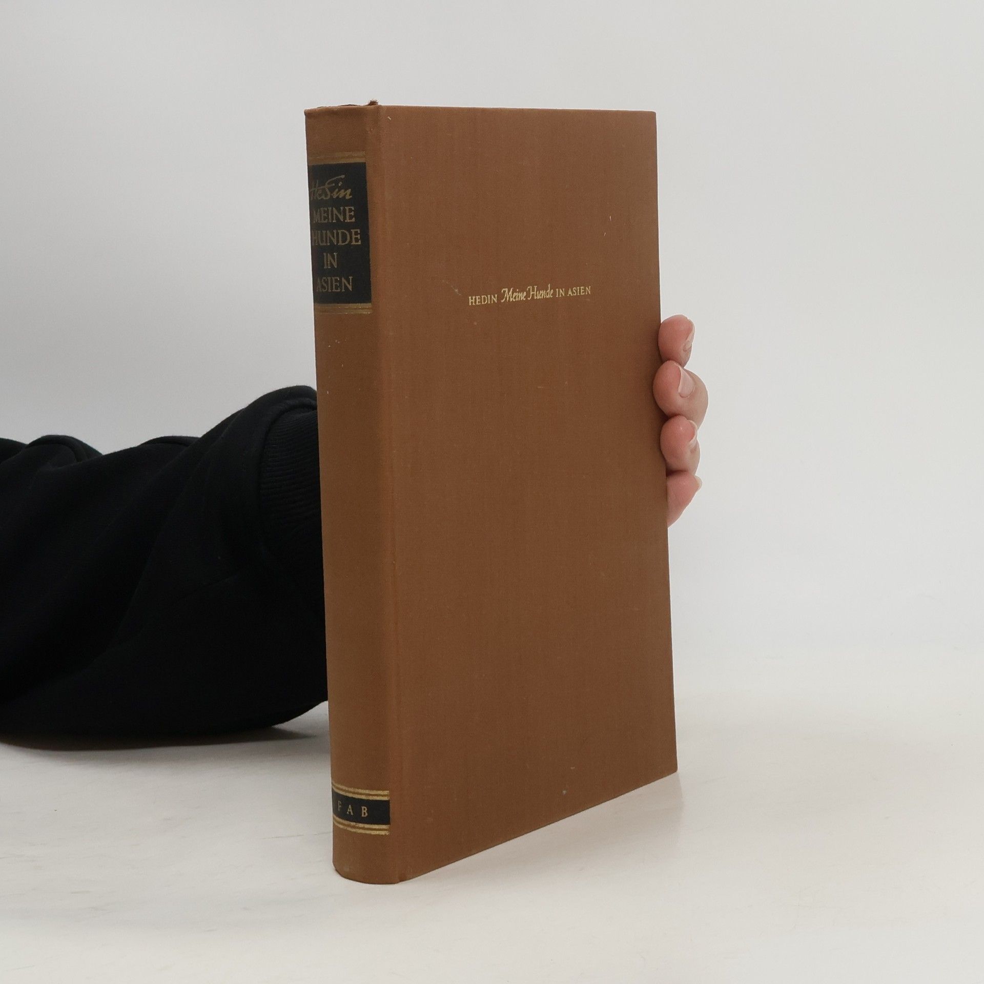 Sven Anders Hedin Meine Hunde in Asien