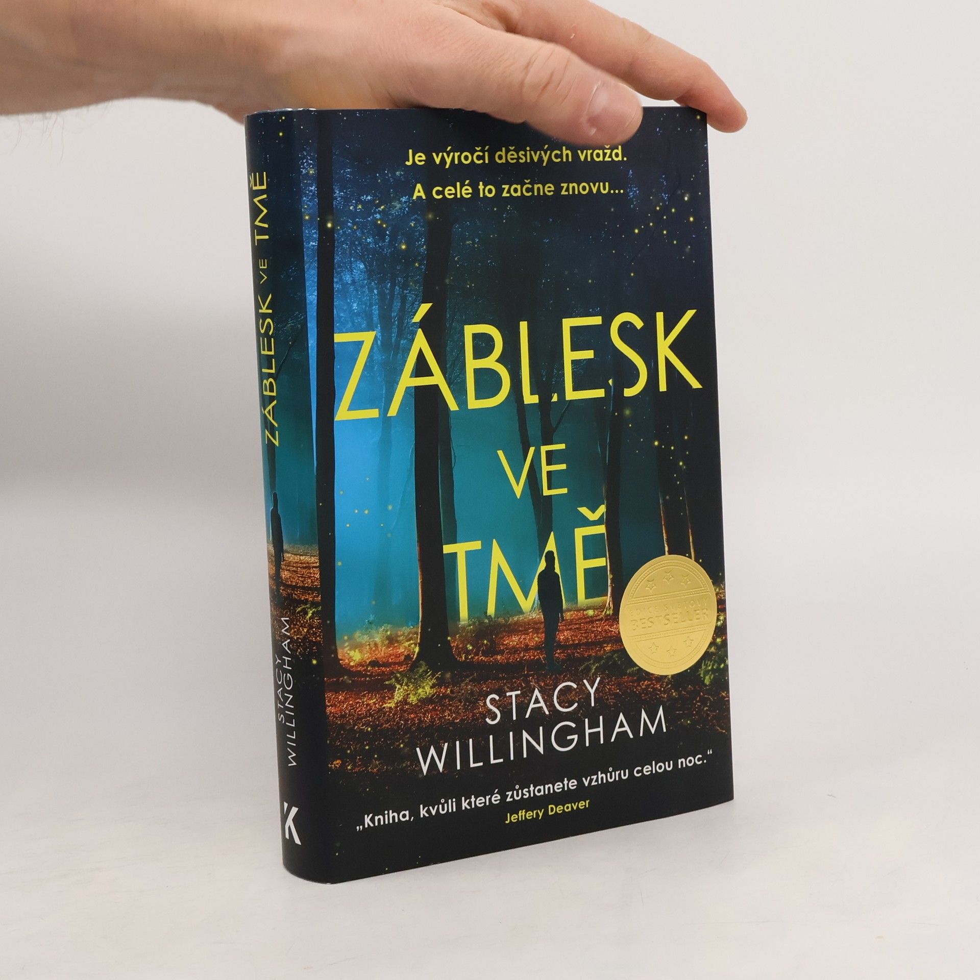 Stacy Willingham Záblesk ve tmě