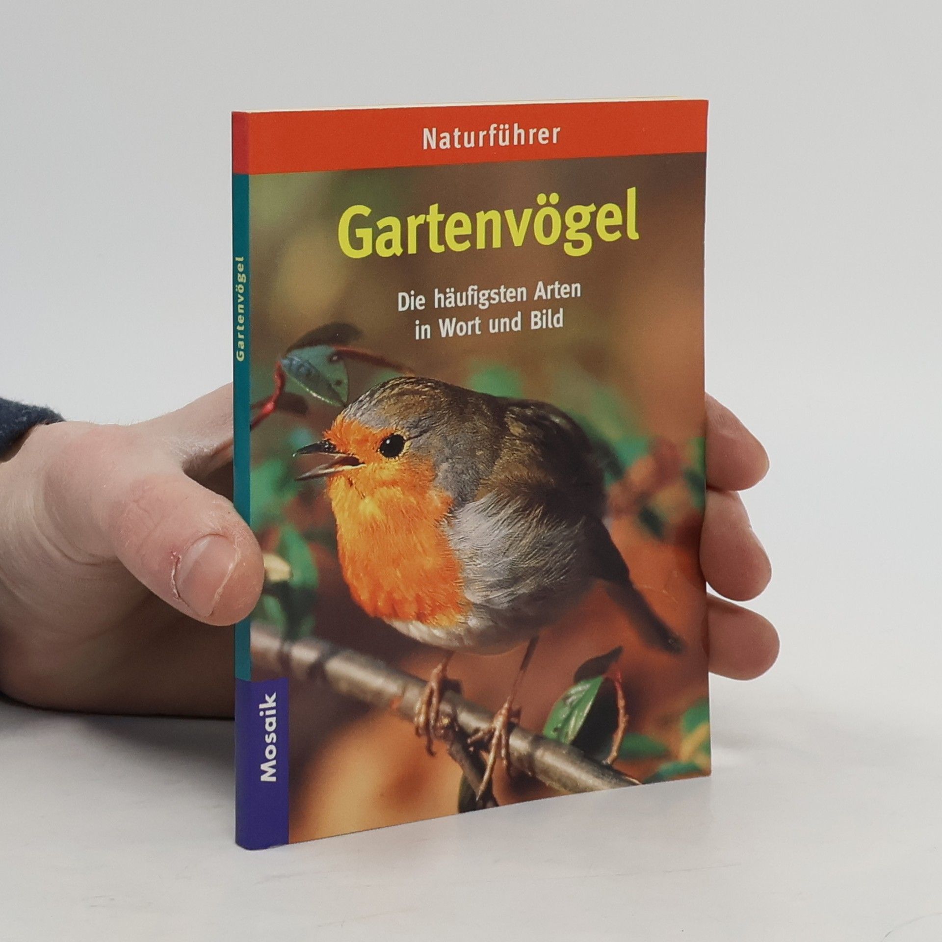 Elisabeth Keller Gartenvögel