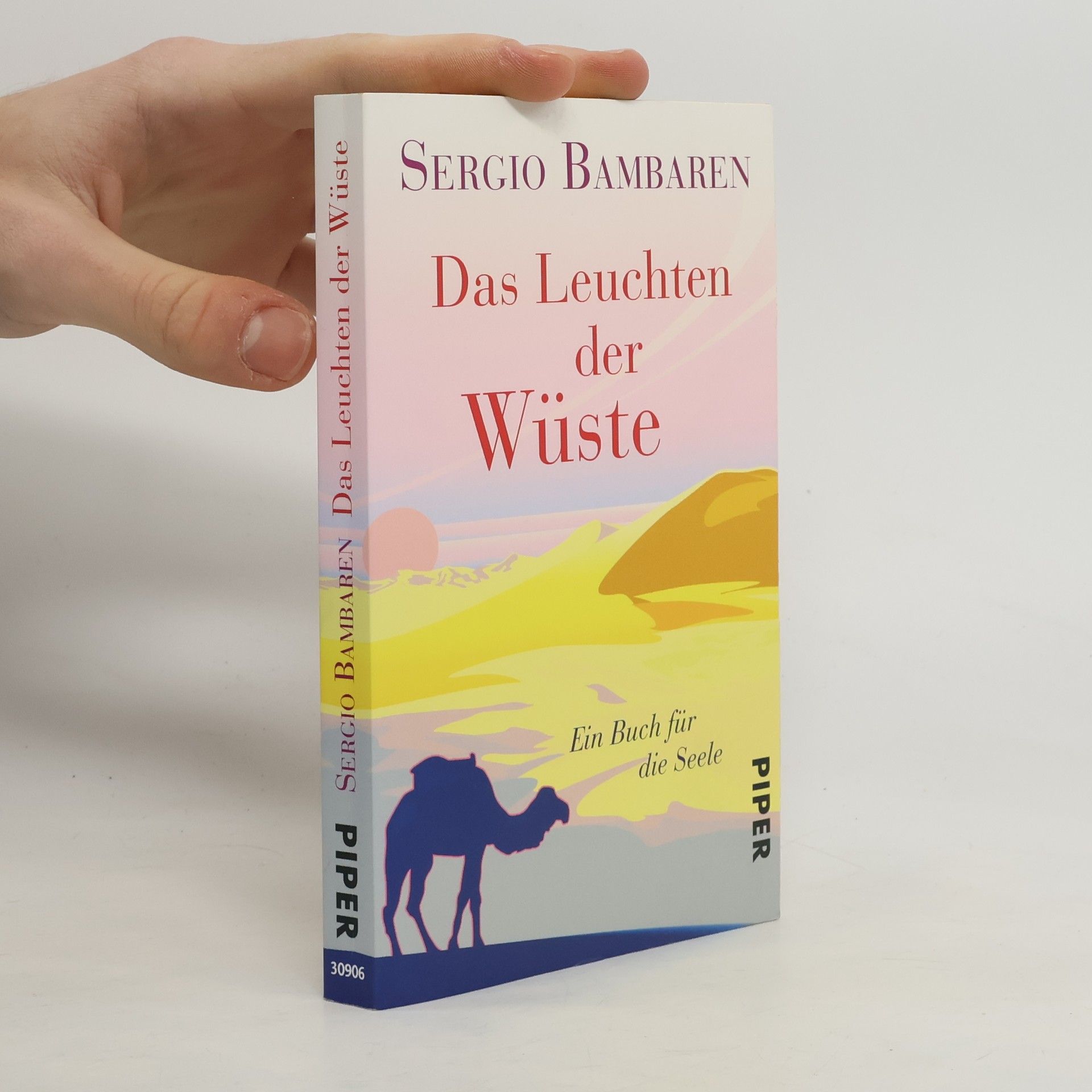 Sergio Bambaren Das Leuchten der Wüste