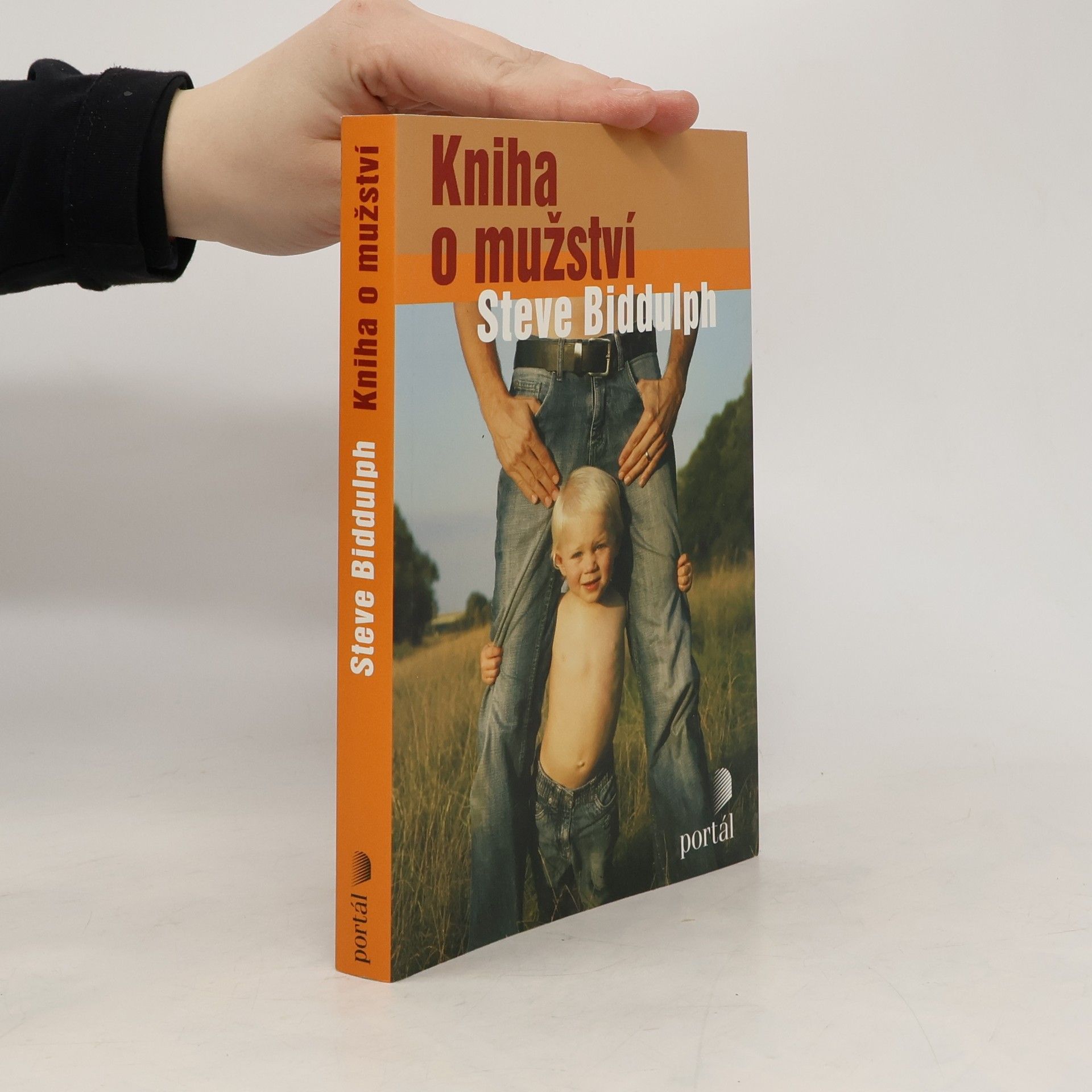 Steve Biddulph Kniha o mužství