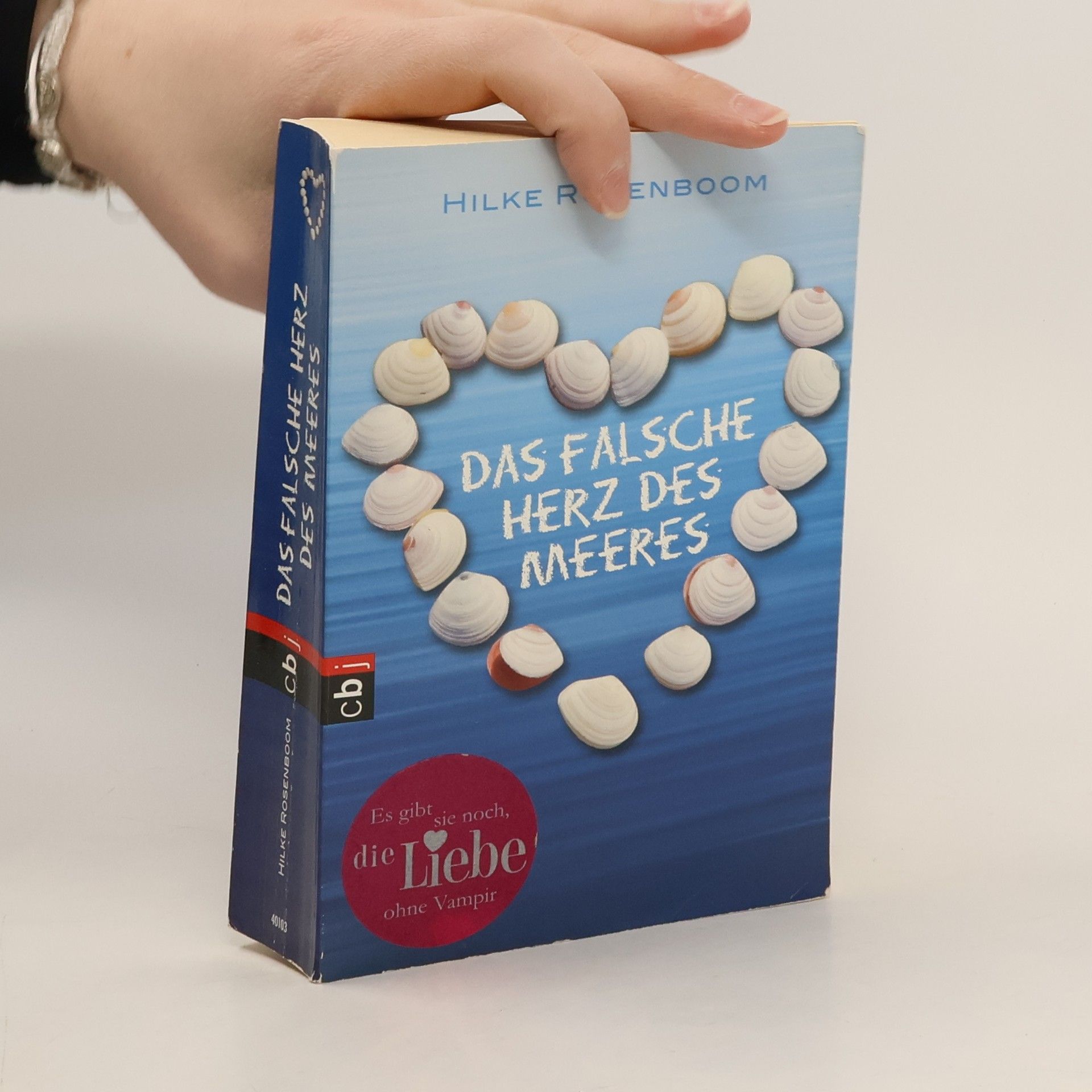 Hilke Rosenboom Das falsche Herz des Meeres