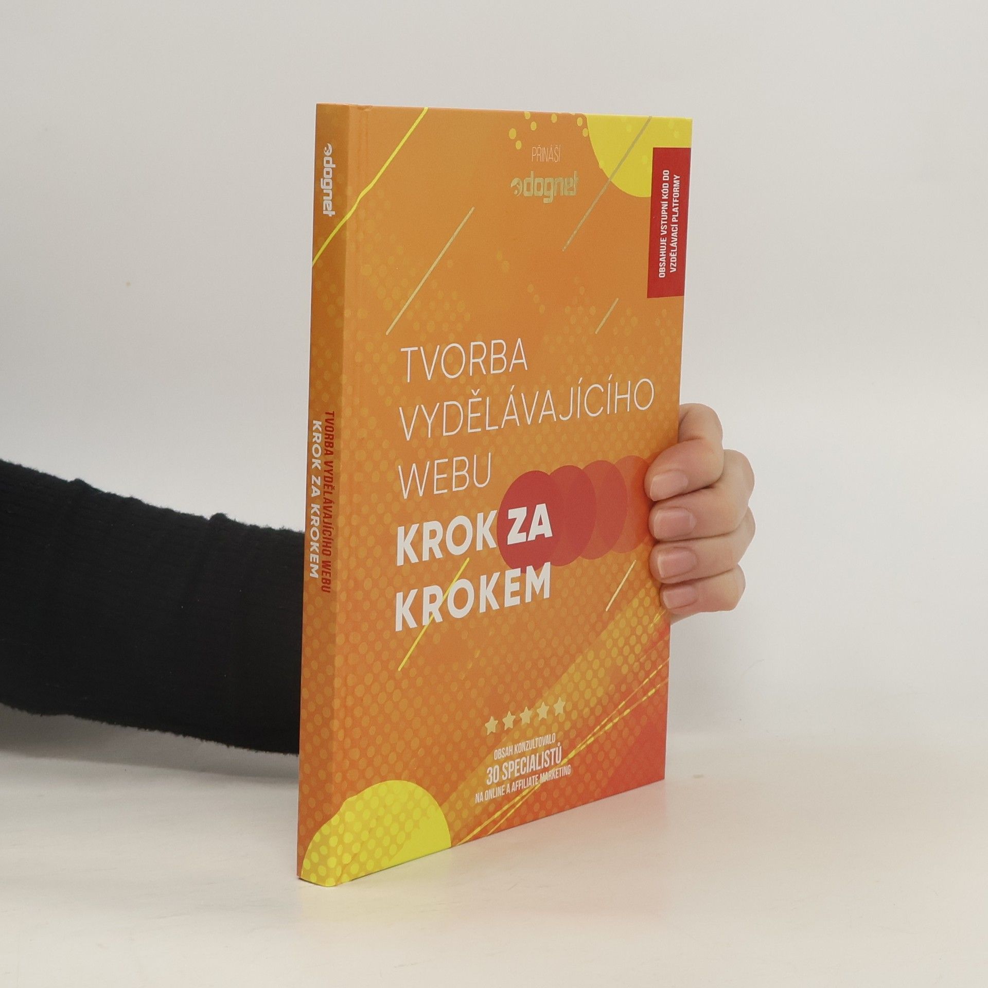 Hanka Čajková Tvorba vydělávajícího webu : krok za krokem