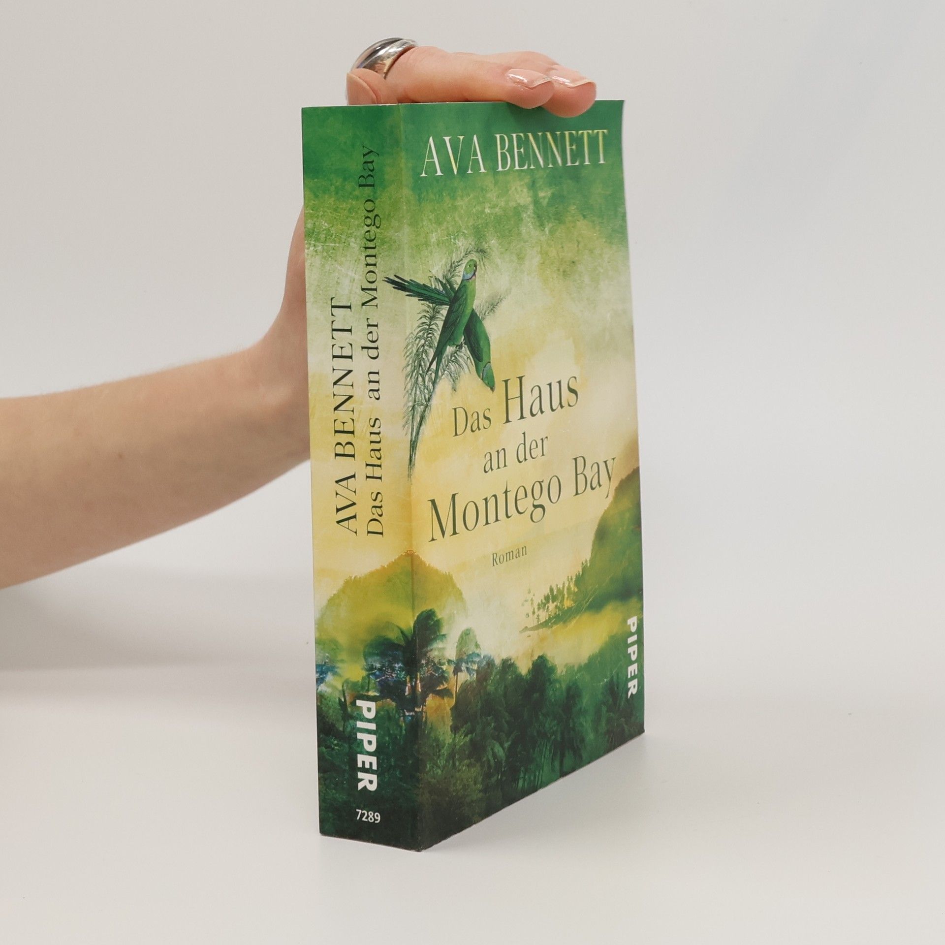 Das Haus an der Montego Bay