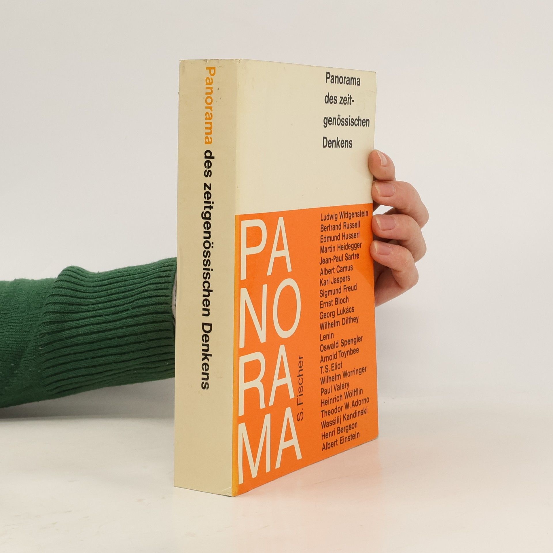 Auteurscollectief Panorama des zeitgenössischen Denkens