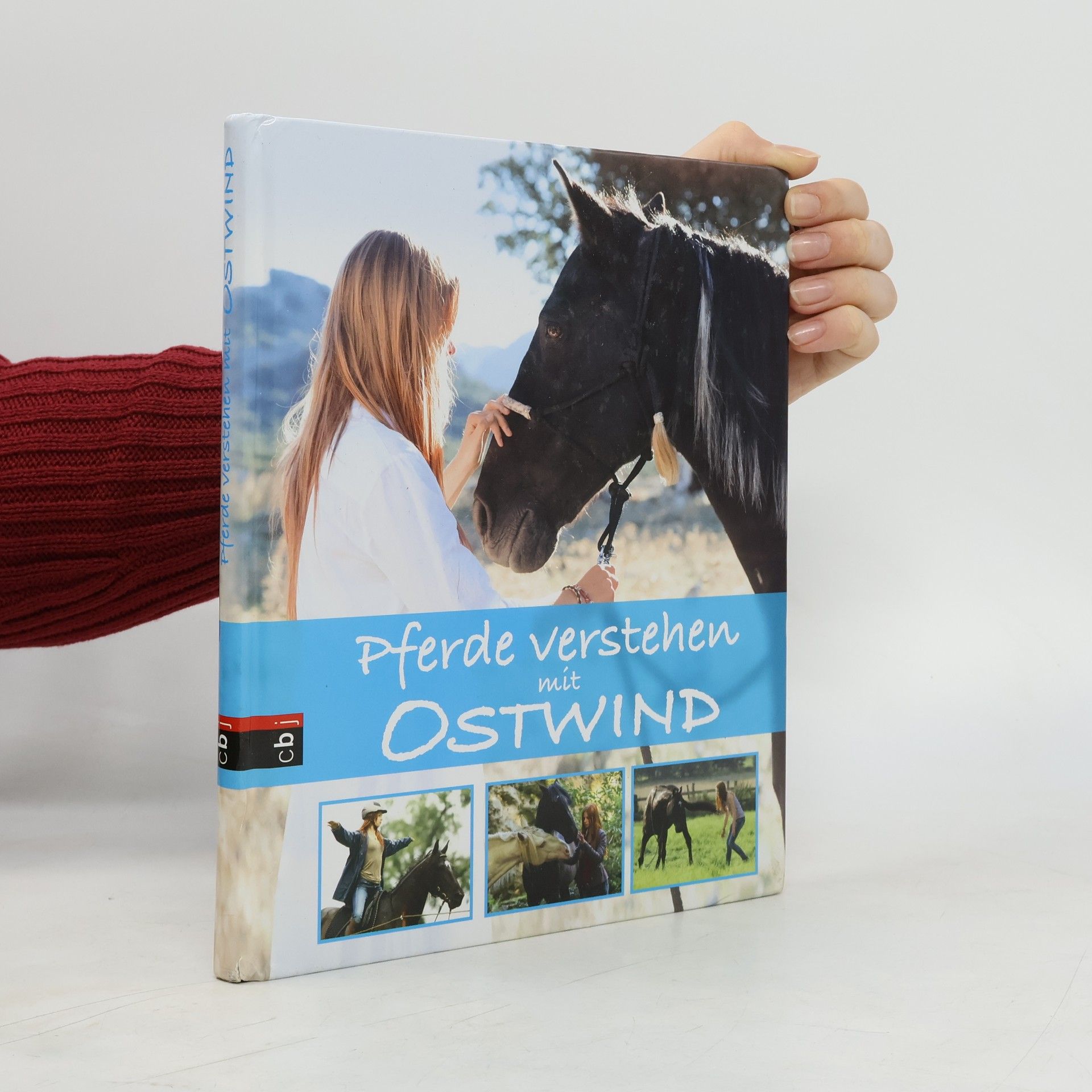 Almut Tina Schmidt Pferde verstehen mit Ostwind