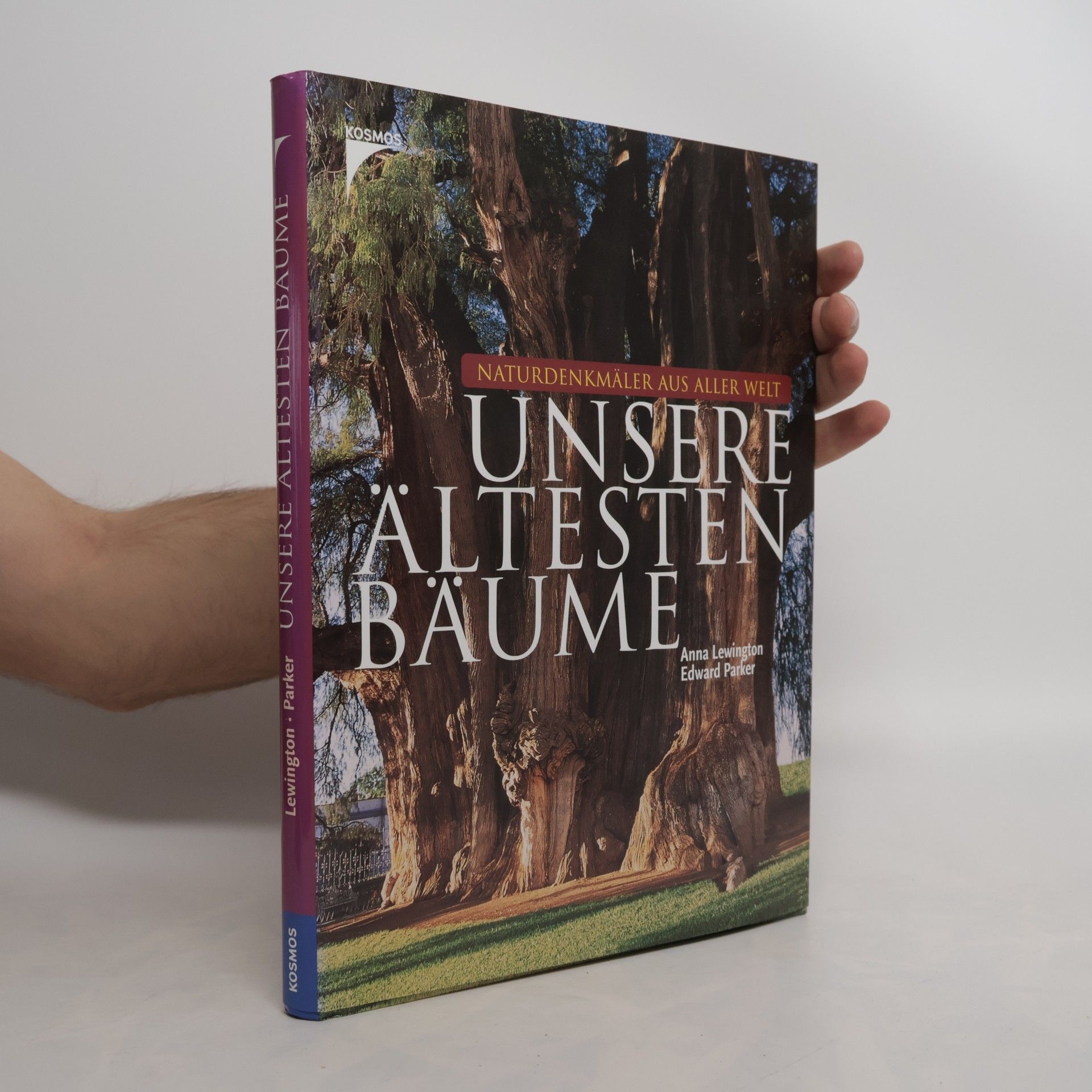 Unsere ältesten Bäume