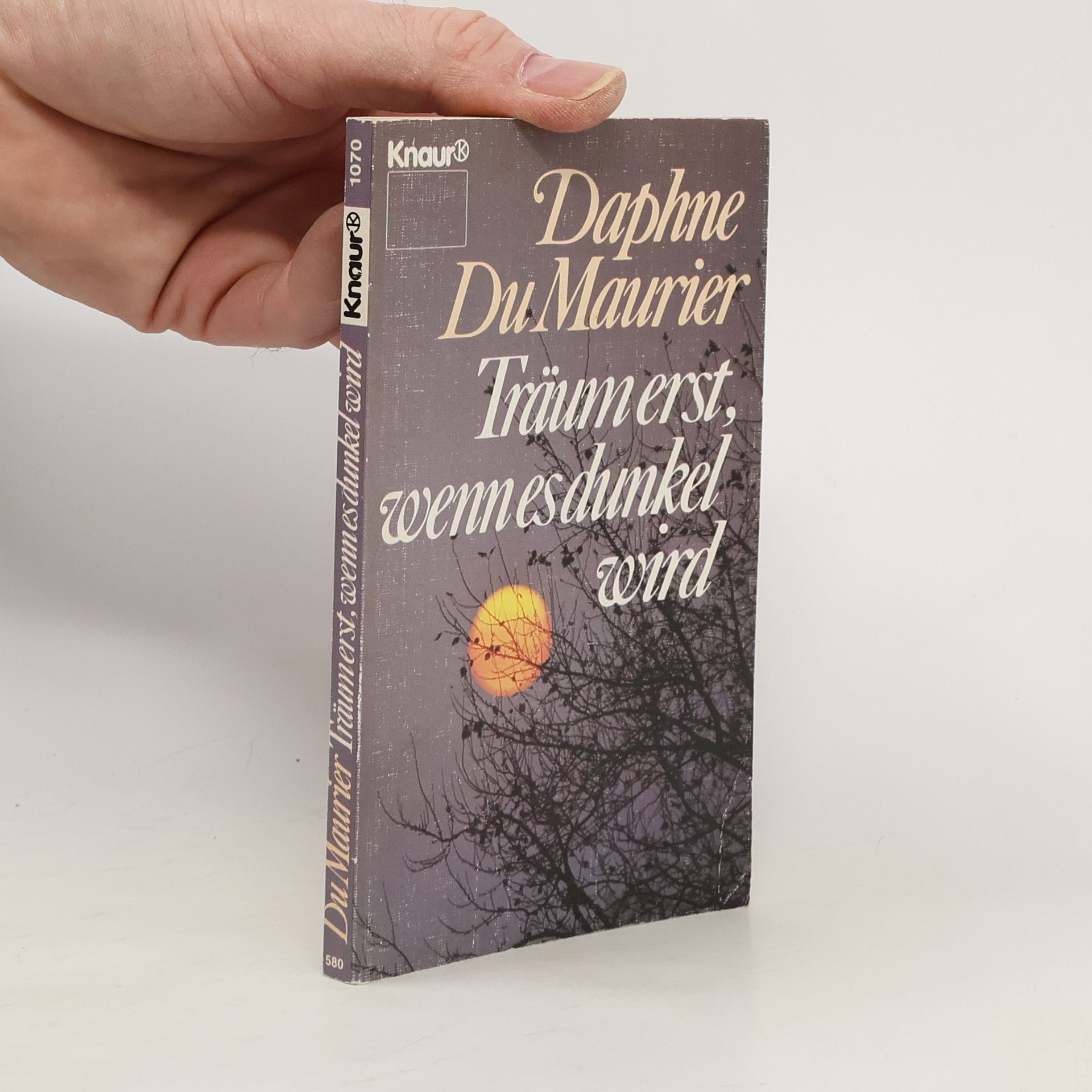 Träum erst, wenn es dunkel wird