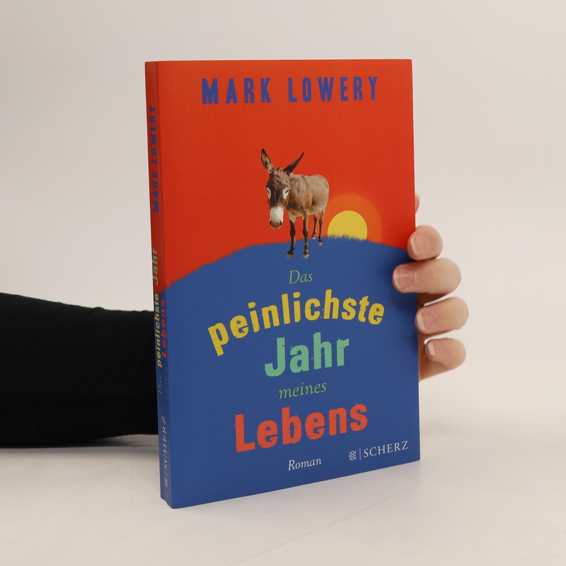 Mark Lowery Das peinlichste Jahr meines Lebens