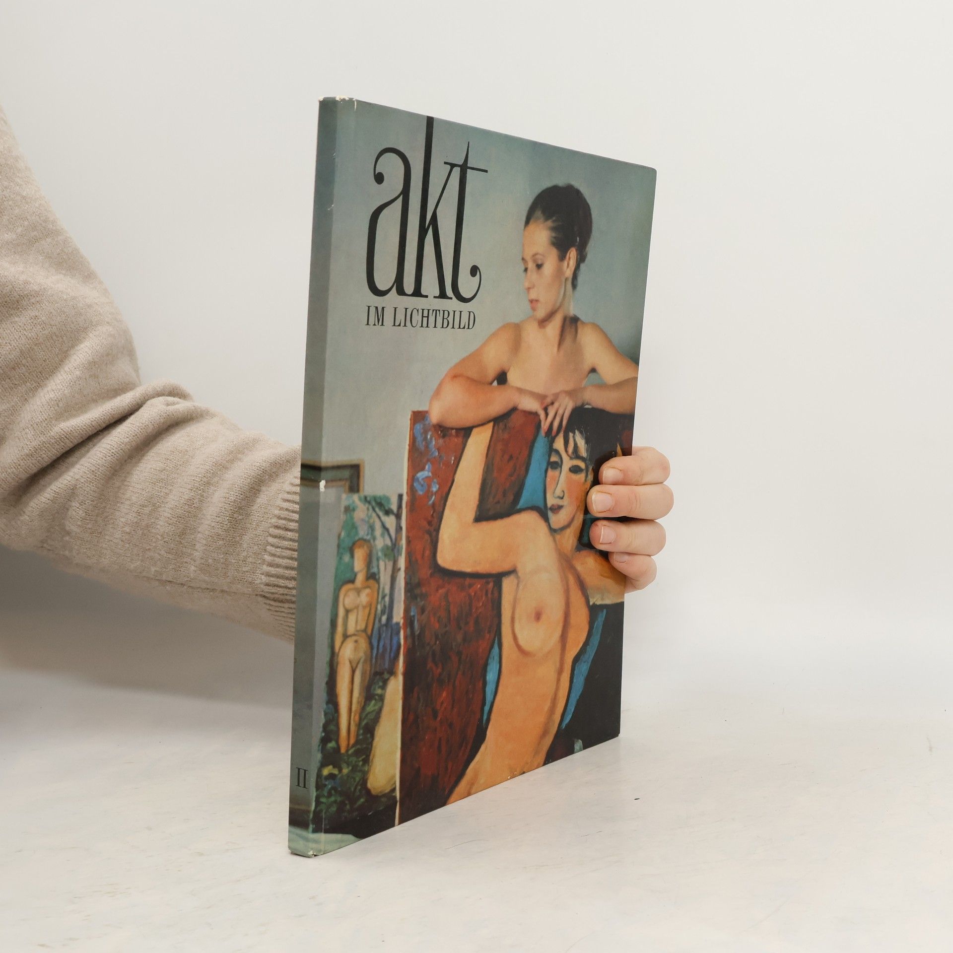 Autorenkollektiv Akt im Lichtbild II.