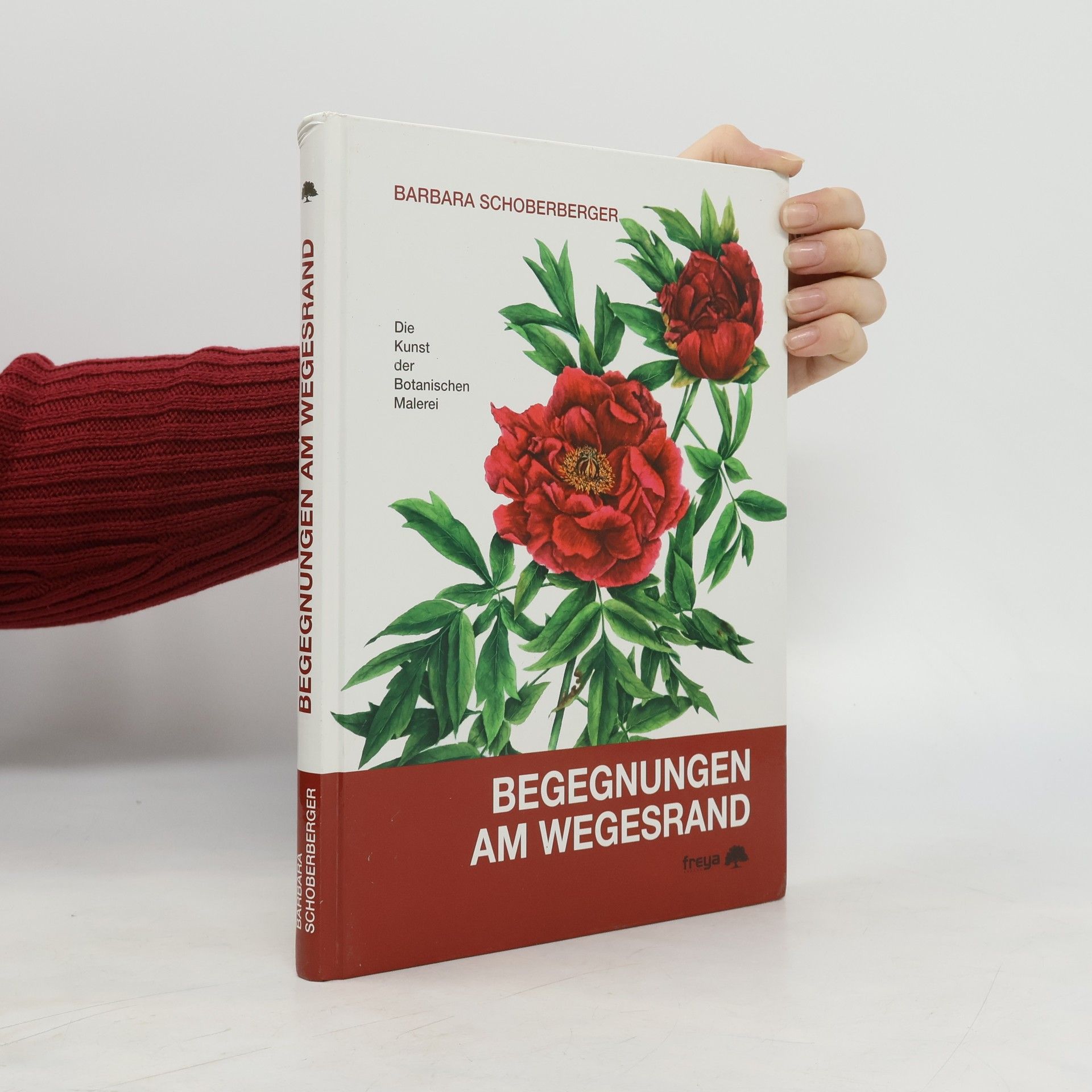 Barbara Schoberberger Begegnungen am Wegesrand