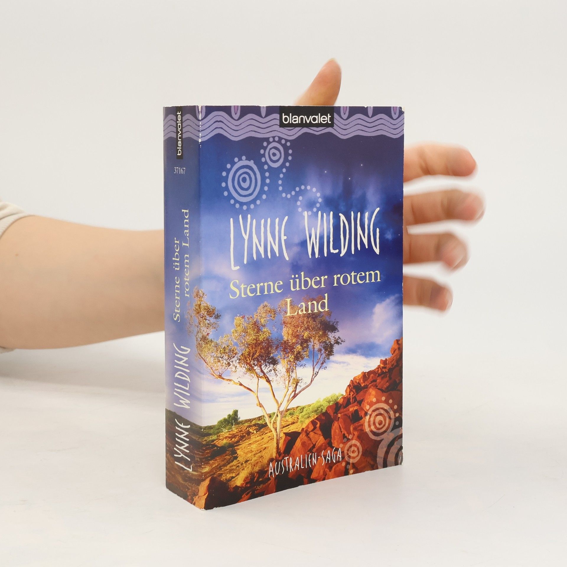 Lynne Wilding Sterne über rotem Land