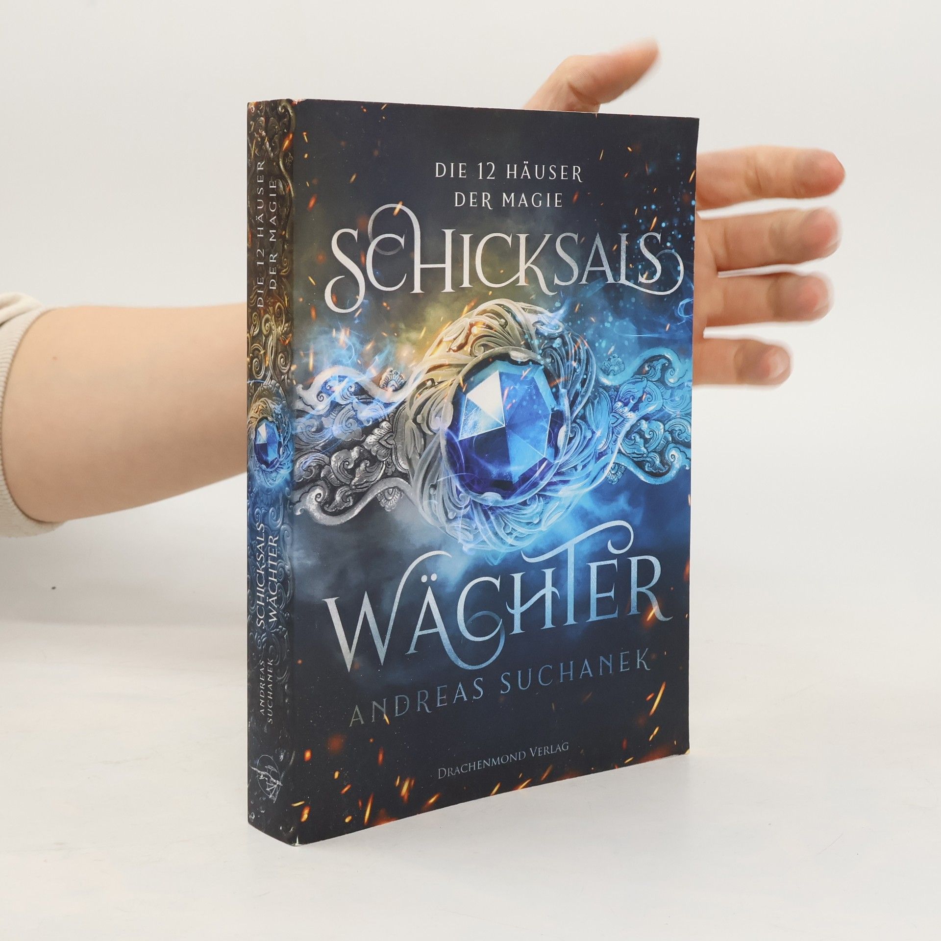 Andreas Suchanek Schicksalswächter