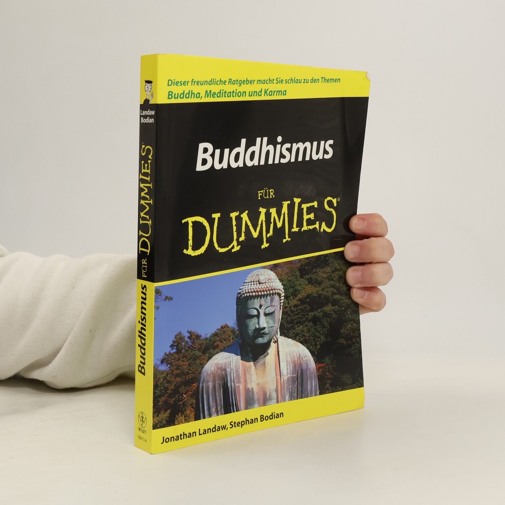 Jonathan Landaw Buddhismus für Dummies
